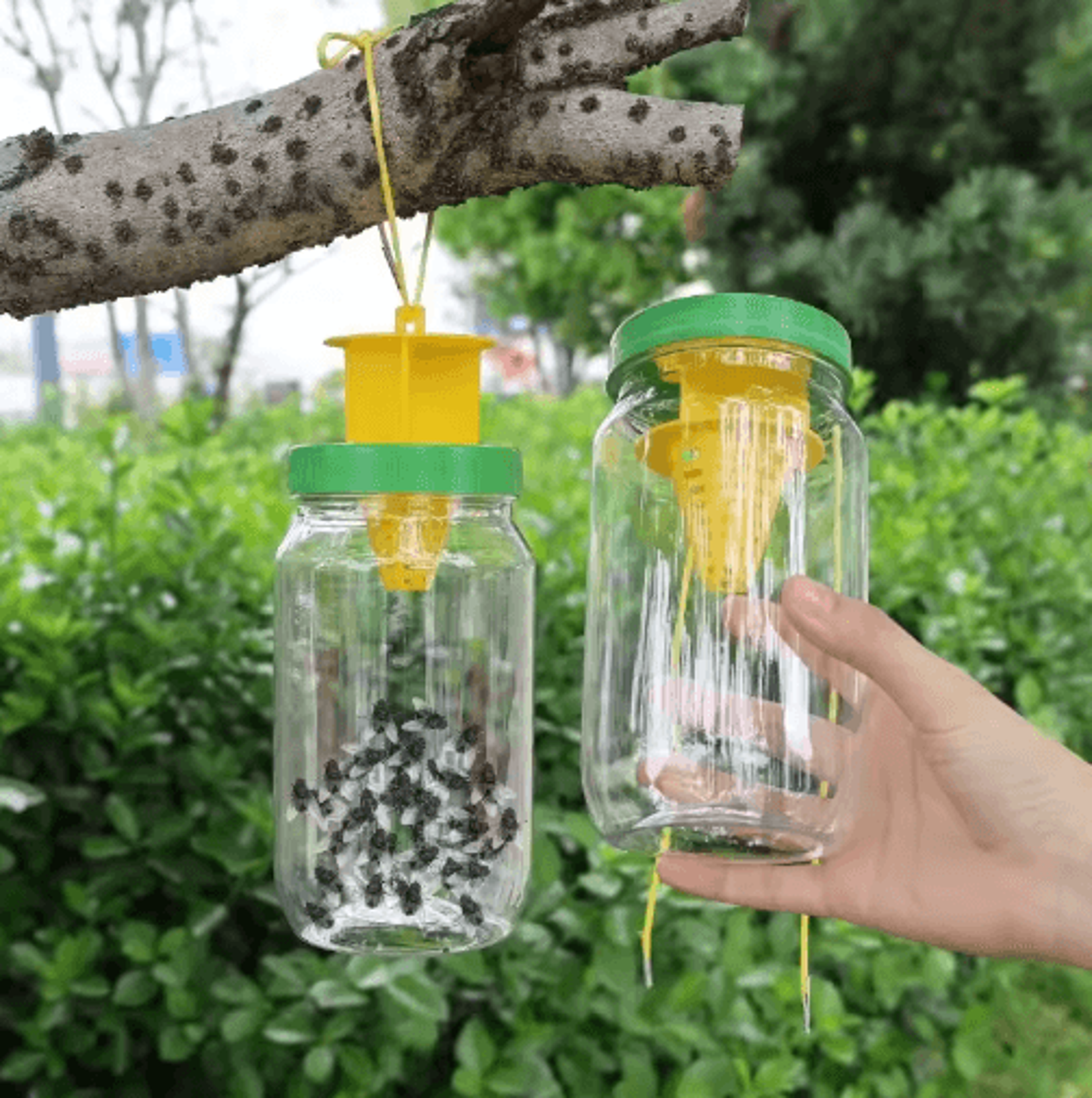 Reusable Hanging Fly Wasp  Hornet Insect Trap 8