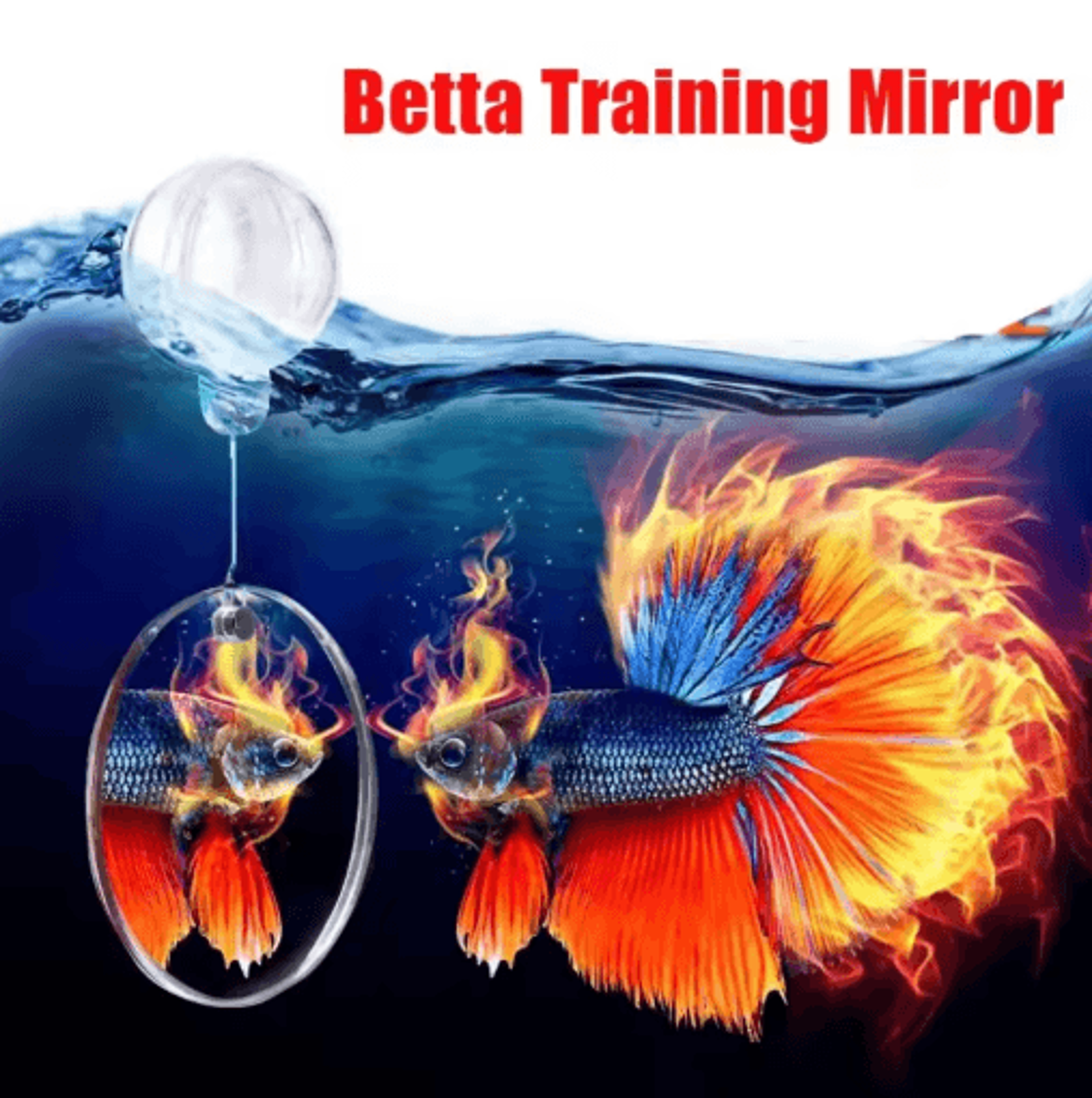 DoubleSided Betta Fish Training Mirror Aquarium Decoration 0