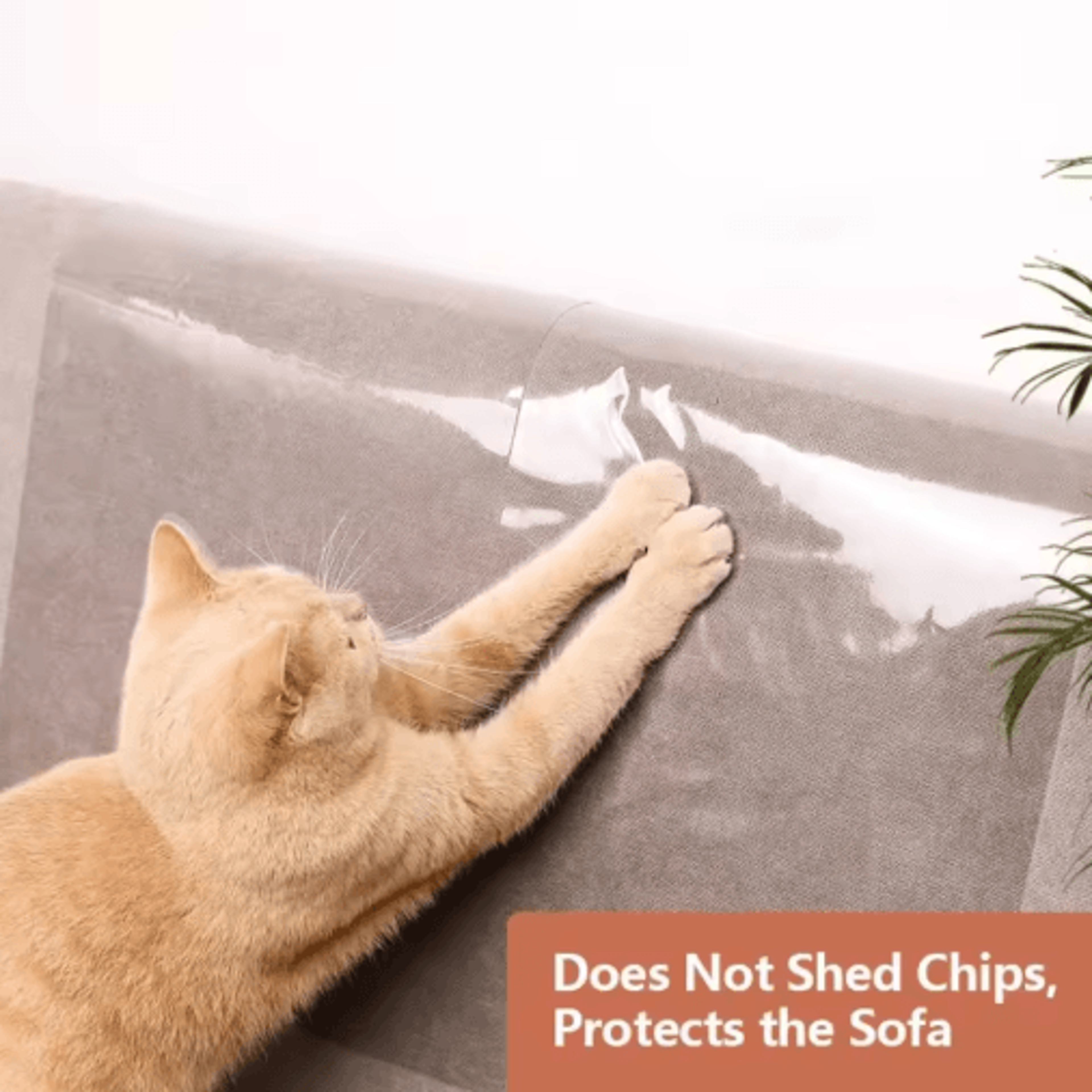 Transparent SelfAdhesive Cat Scratch Furniture Protector 10