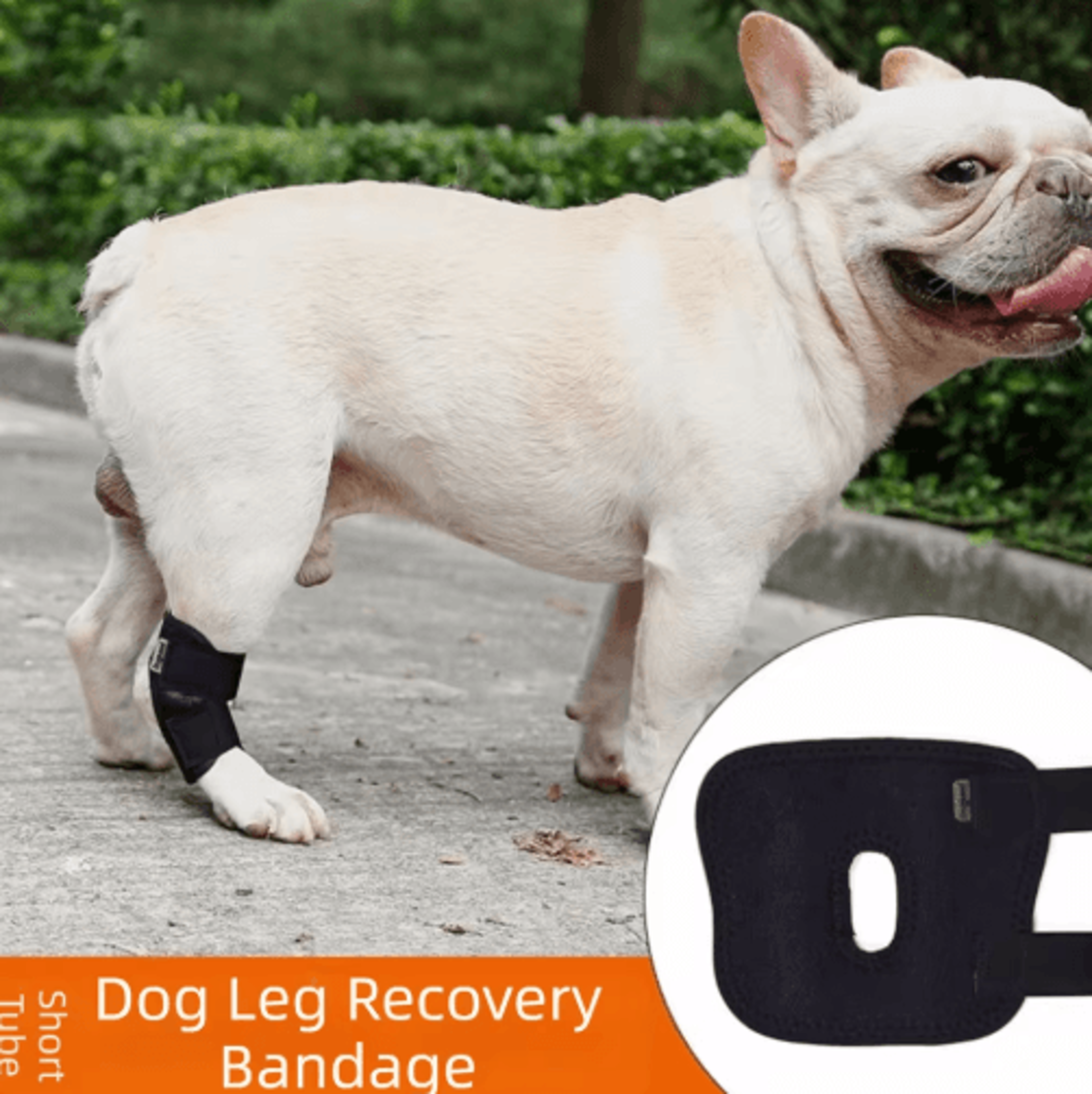 Dog Hock Joint Brace  Leg Protector 0