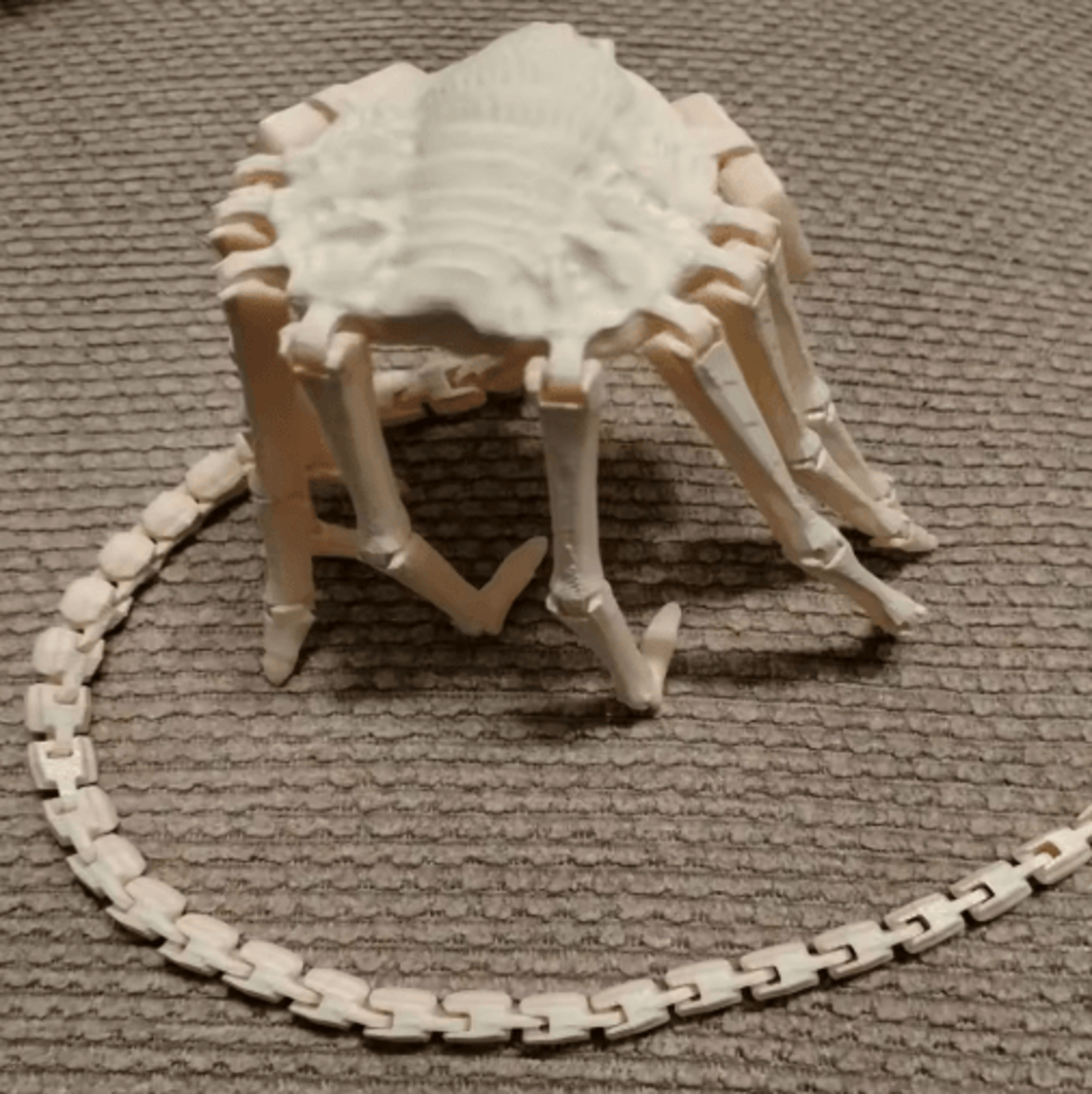 Articulated Alien Facehugger Desktop Figurine 9