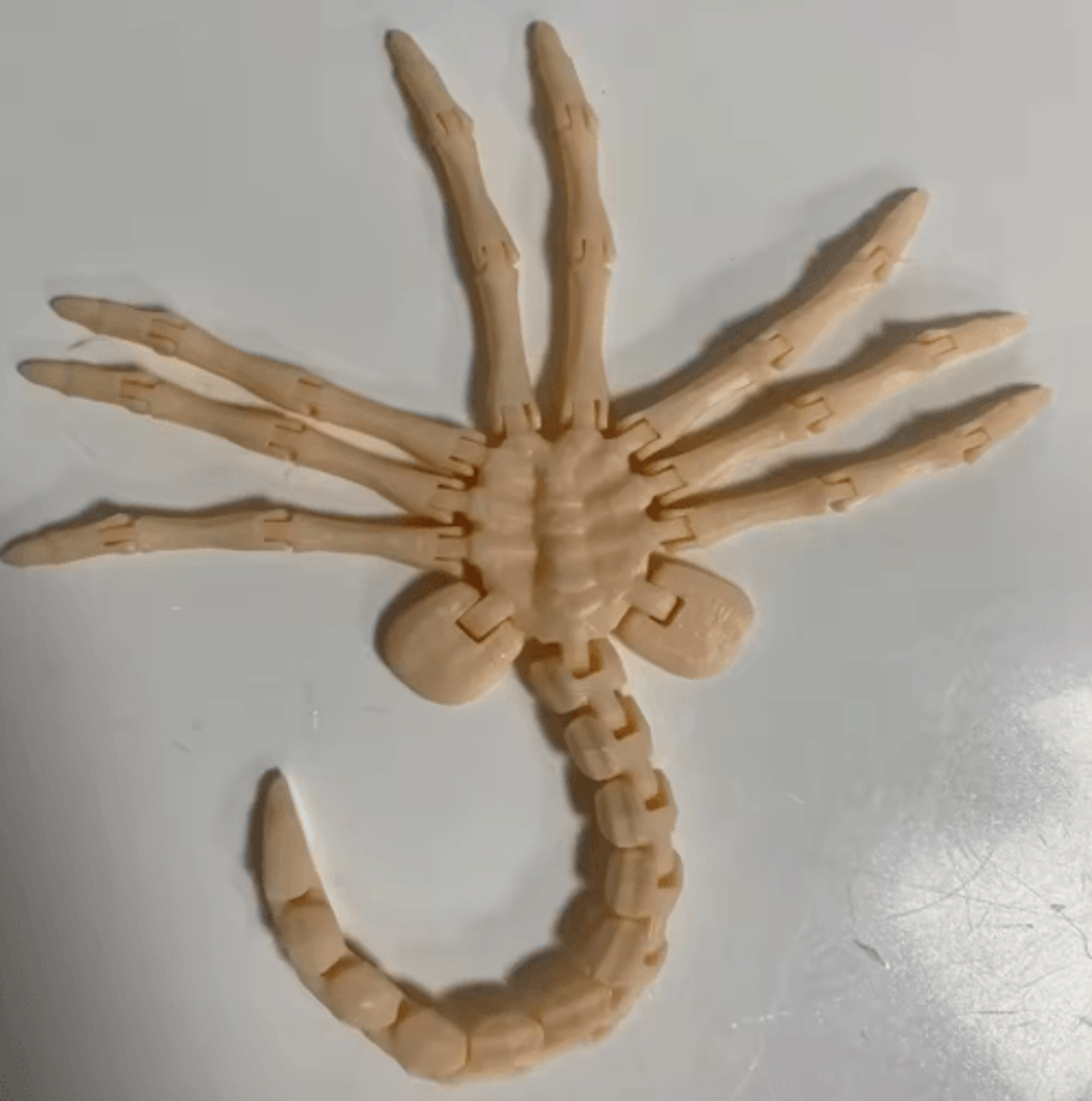 Articulated Alien Facehugger Desktop Figurine 6
