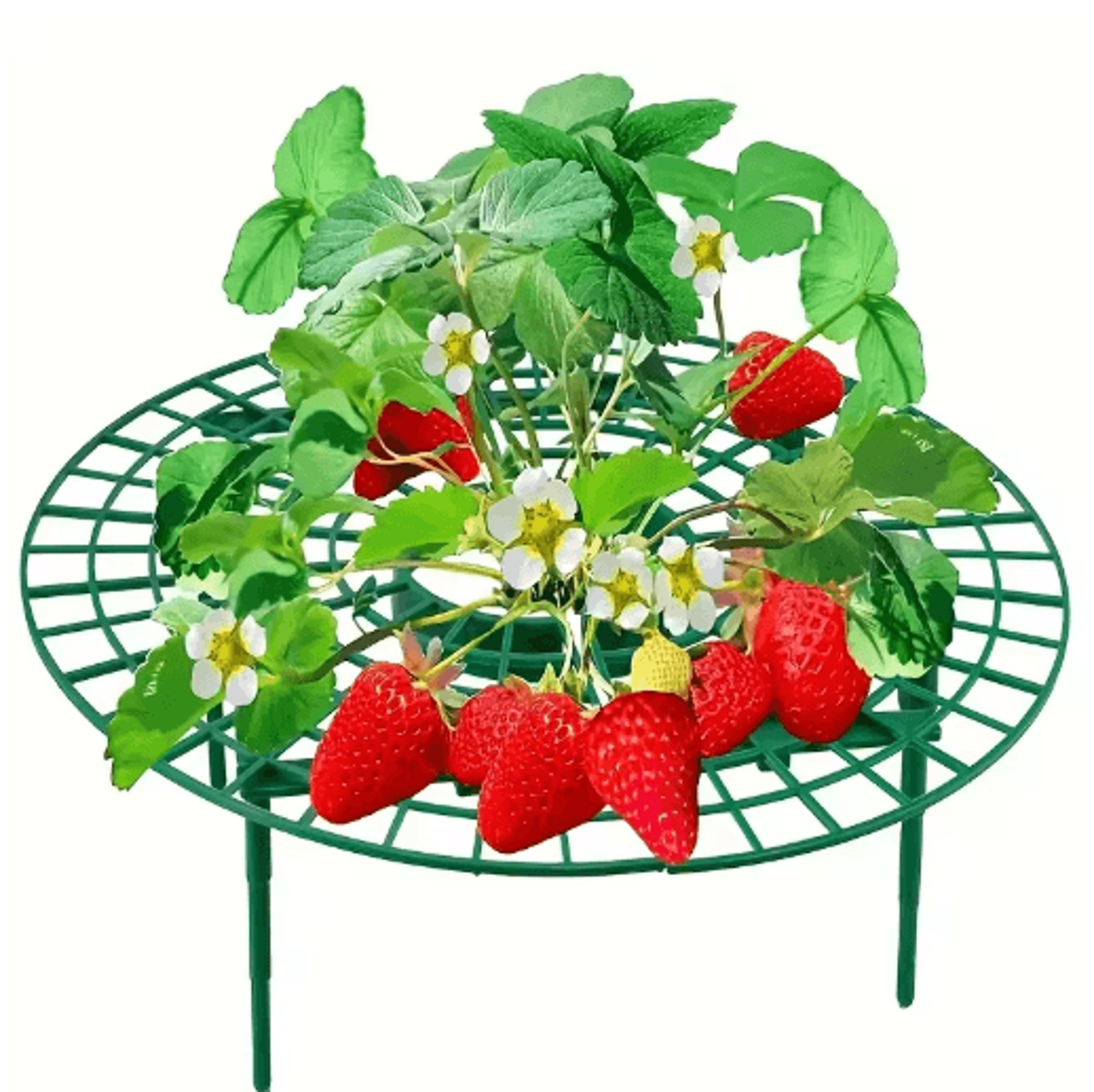 510Piece Strawberry Plant Support Stands 7