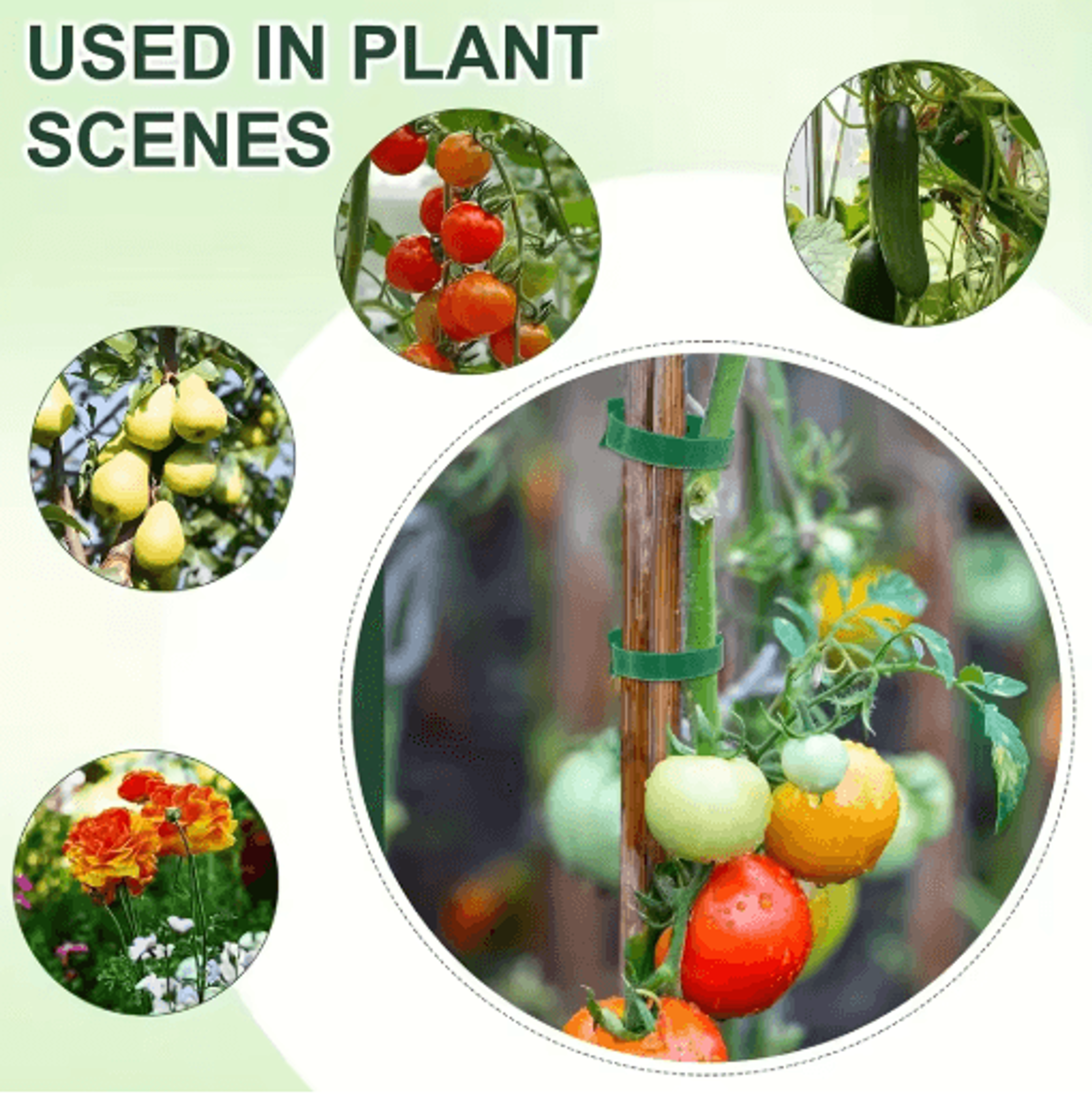 100Pcs Reusable Adjustable Plant Ties  6Inch Nylon Hook  Loop Garden Supports 4