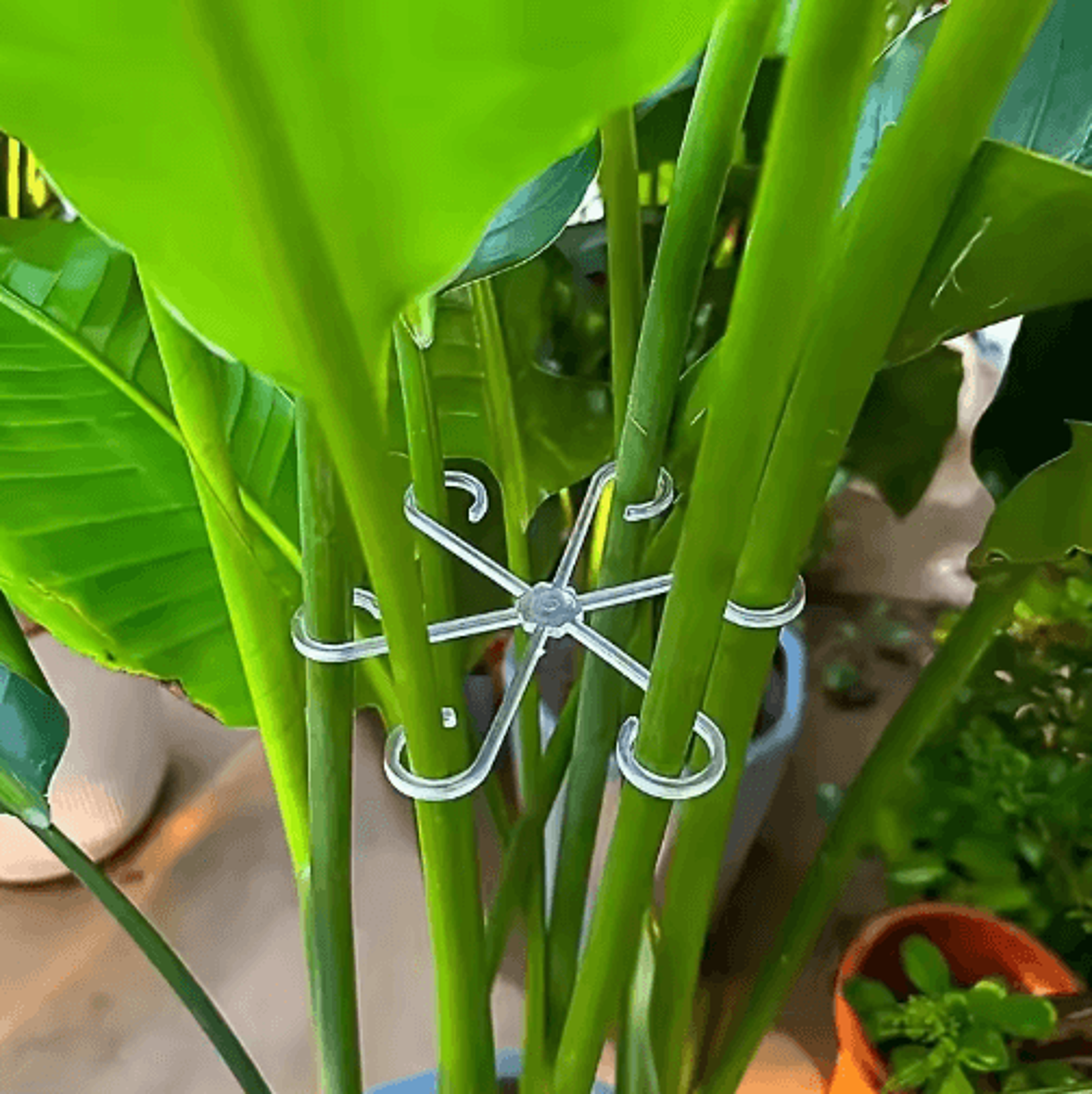 4Pcs Transparent UShaped Plant Support Stakes  Foldable Garden Supports For Potted Plants 0