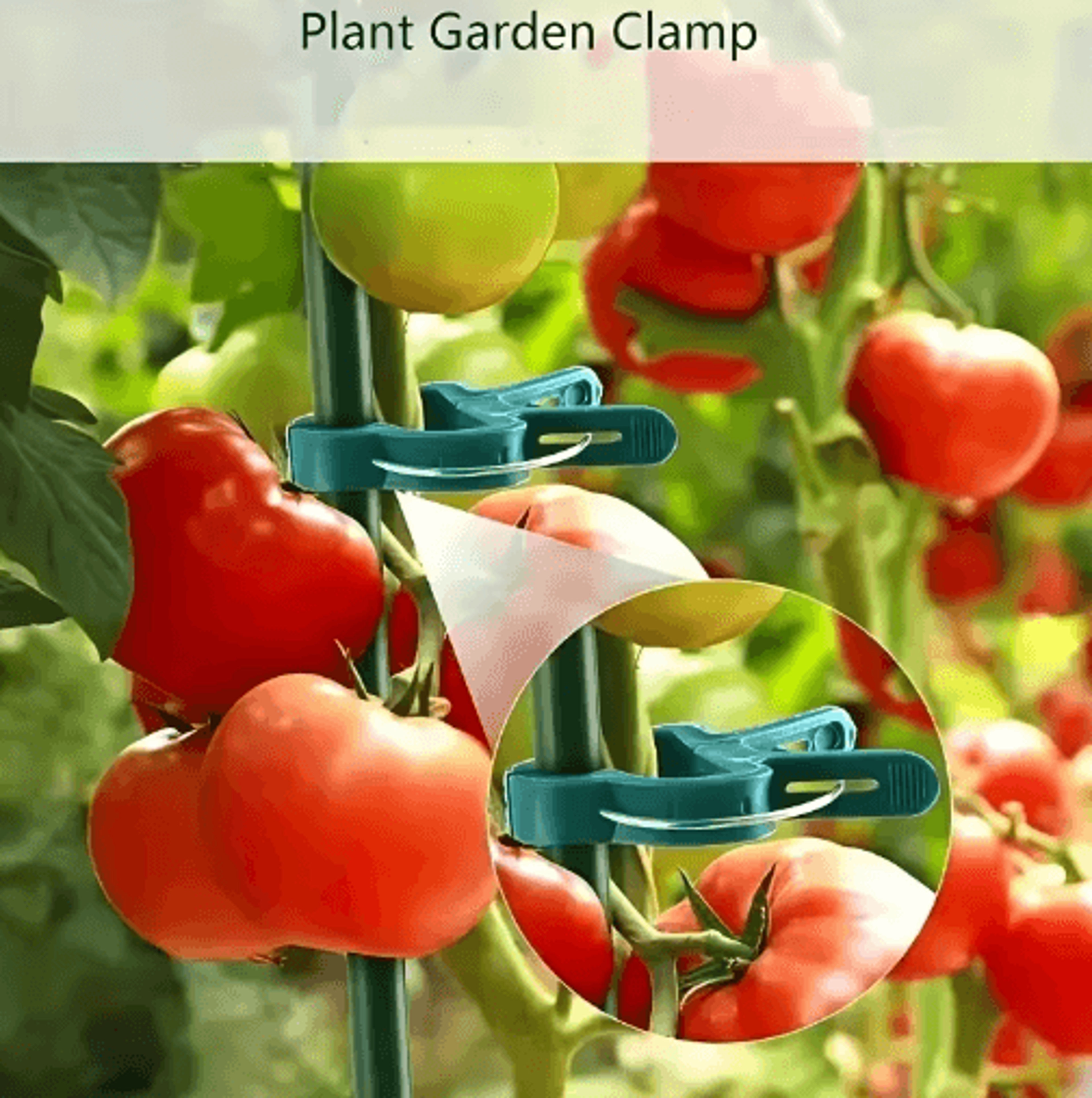 1020Pcs Adjustable Plant Support Clips  Reusable Stem  Vine Garden Fasteners 6