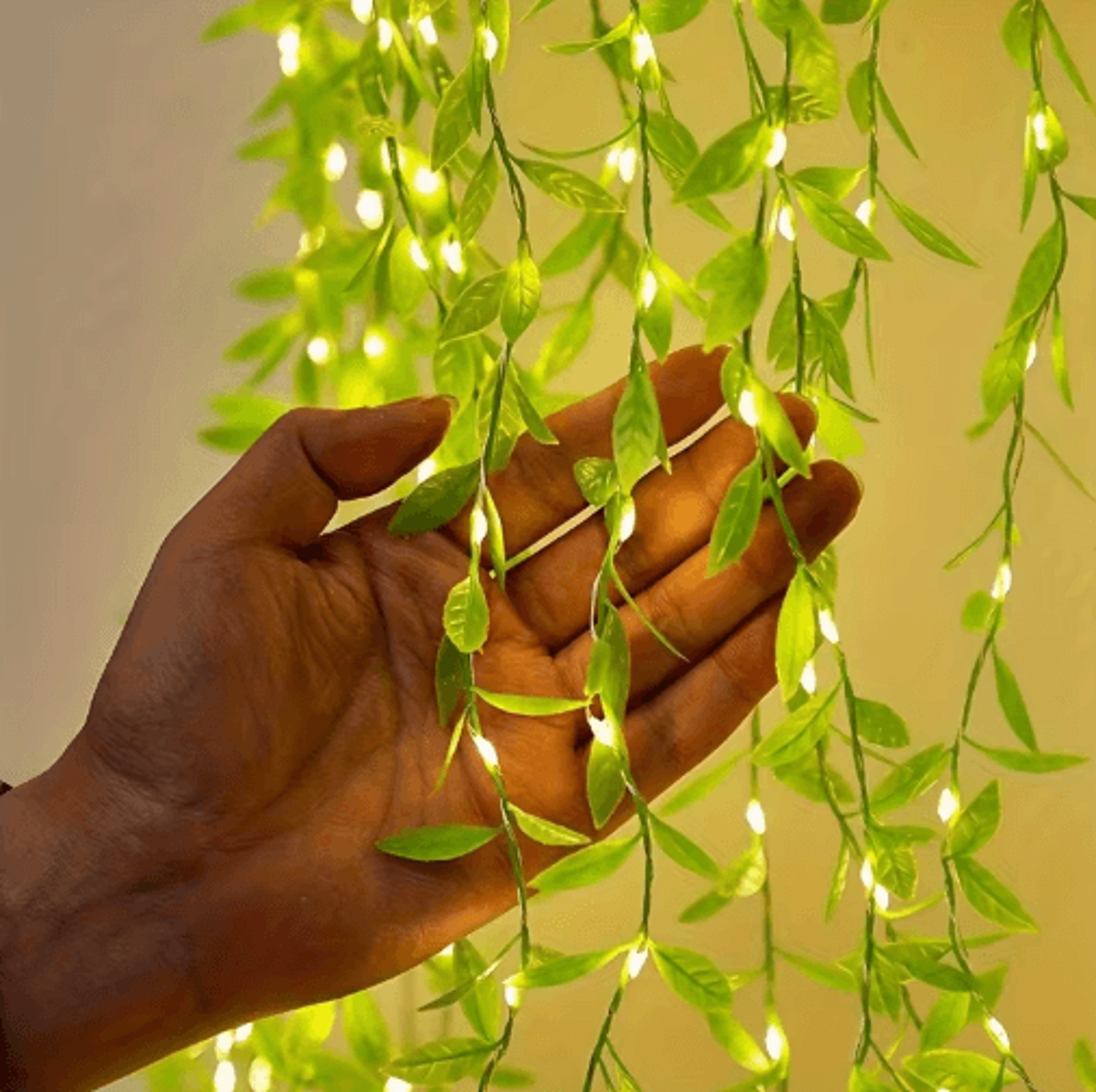 2M Willow Leaf Curtain Lights  20 LED BatteryPowered Copper Wire String Lights 0