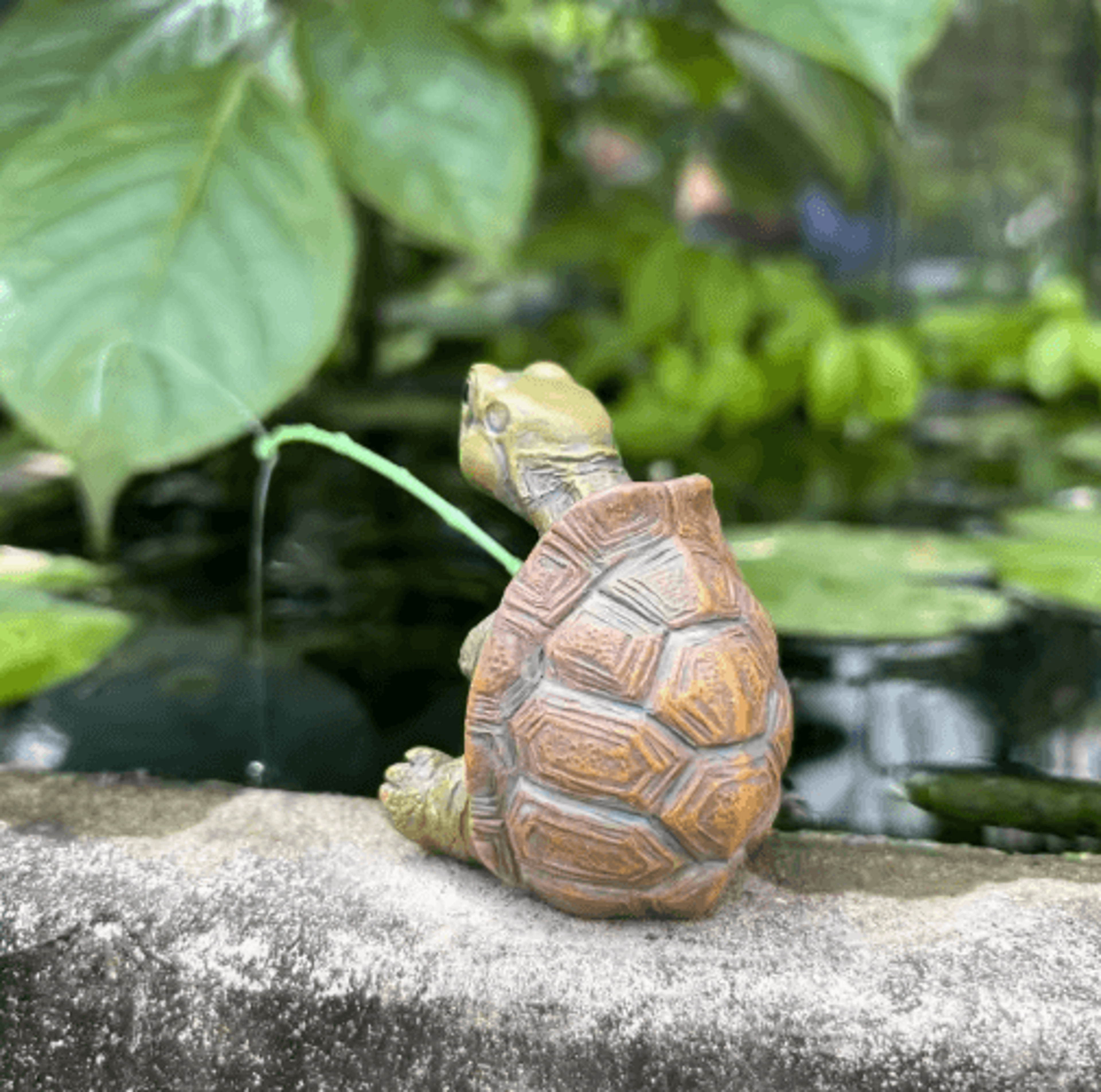 Cute Fishing Turtle Figurine  Mini Garden  Pond Ornament 5