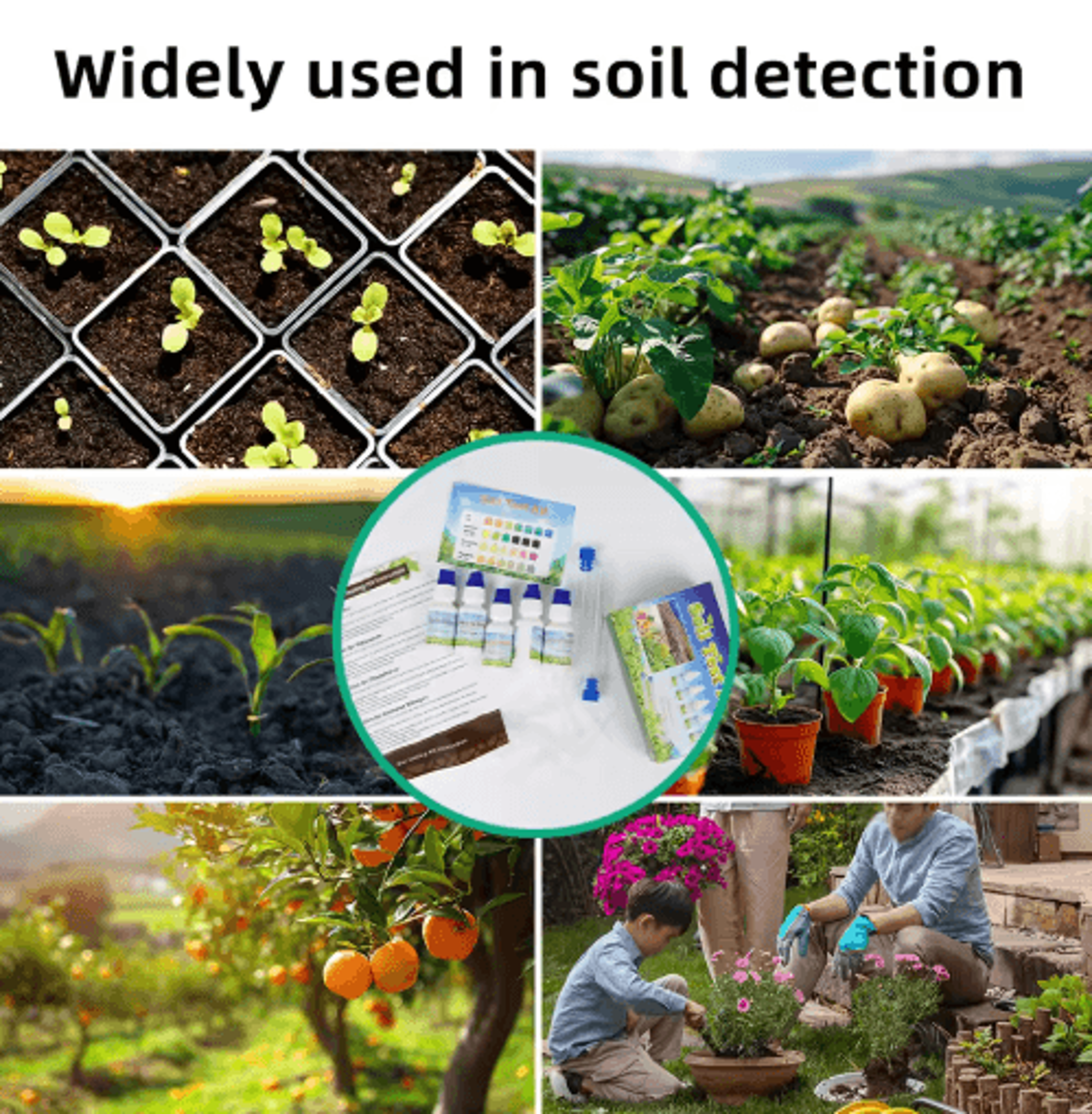 4in1 Soil Test Kit  PH Nitrogen Phosphorus  Potassium Testing Solution 4