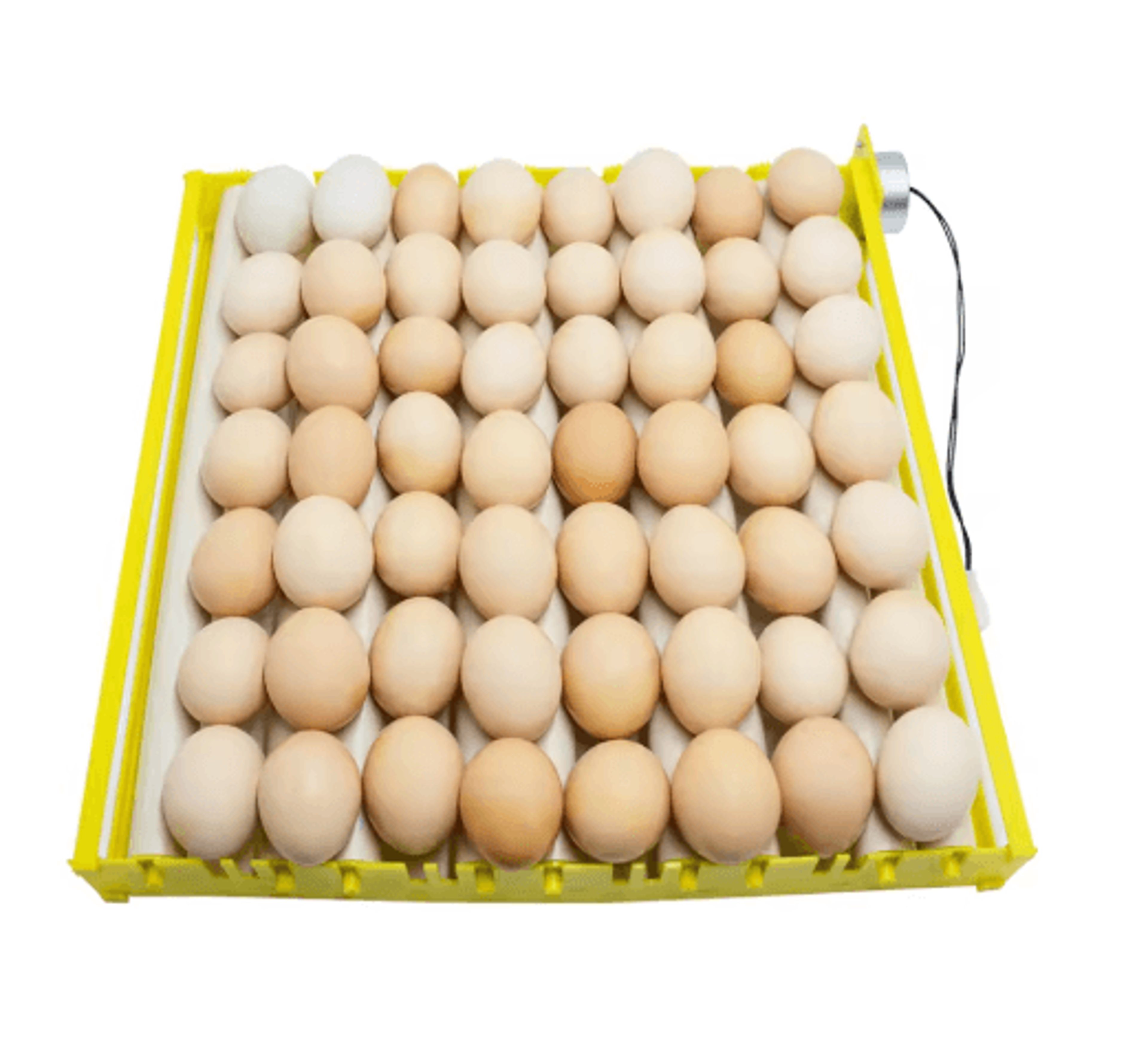 360 Automatic Egg Turner  Rotary Roller Tray For Poultry Incubators 6