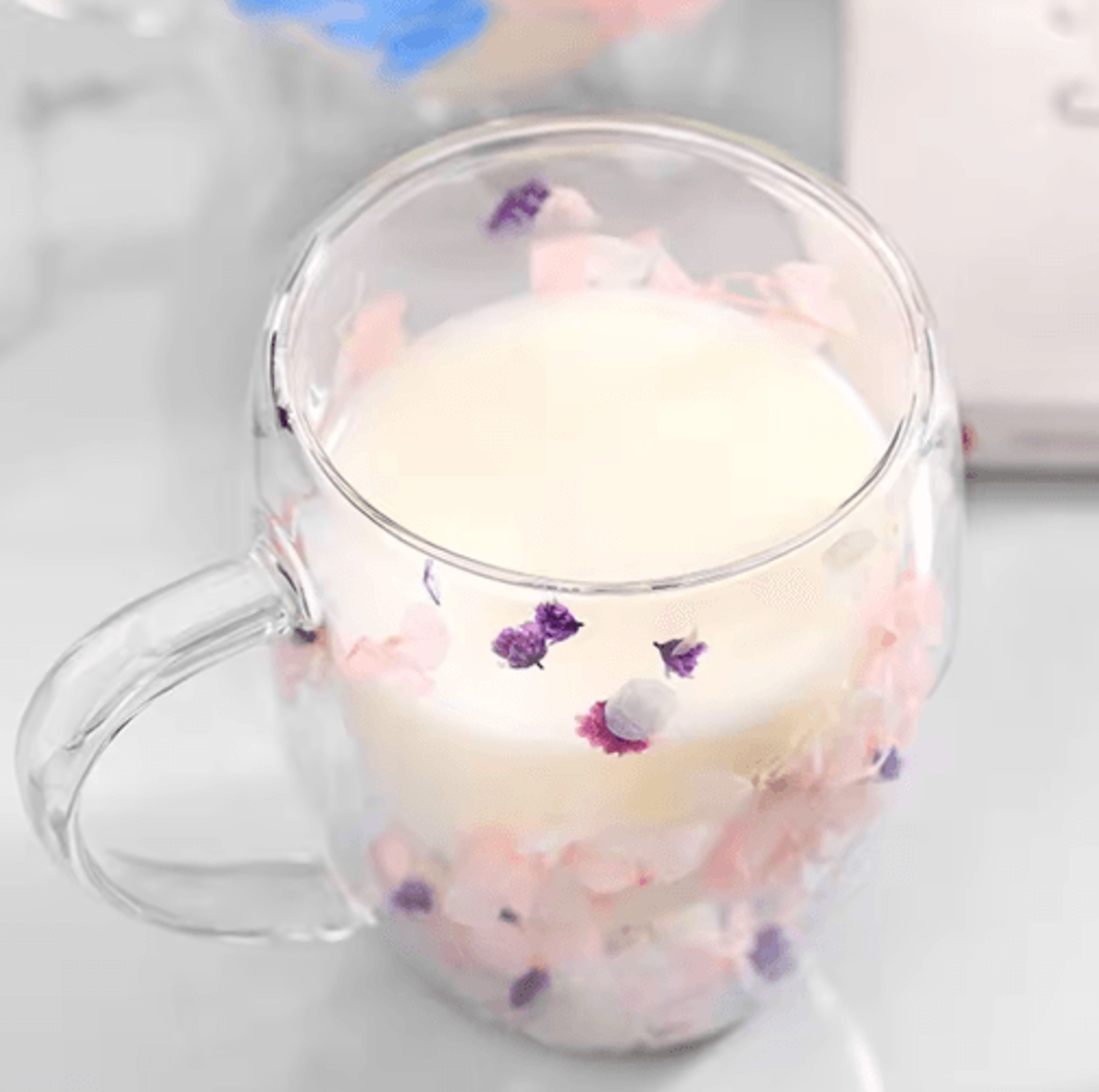 350ml Dried Flower Glass Mug  DoubleWall Coffee Cup With Handle 14