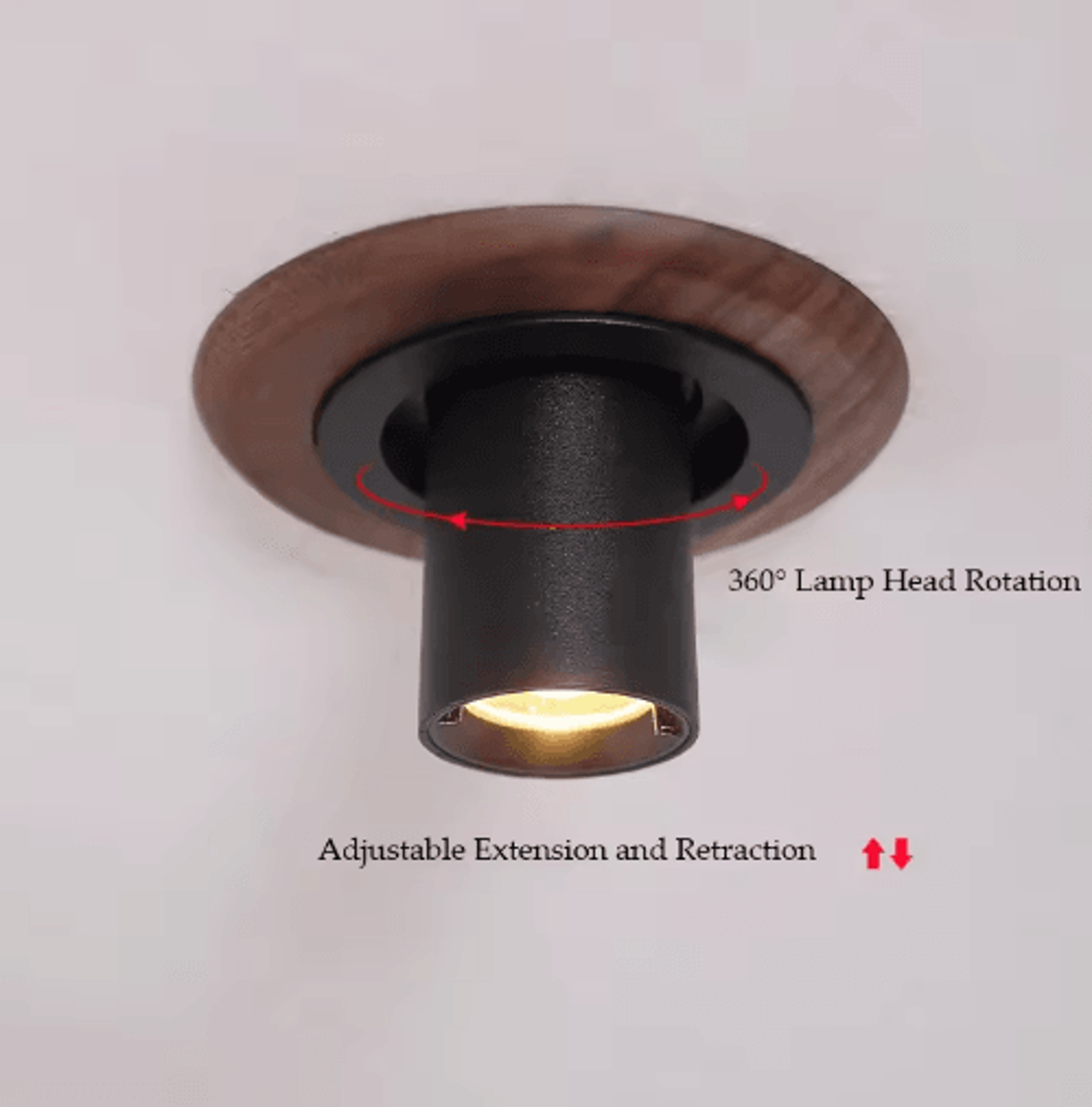 Walnut Wood Recessed Spotlight  Rotatable WabiSabi Wall Wash Ceiling Light 4