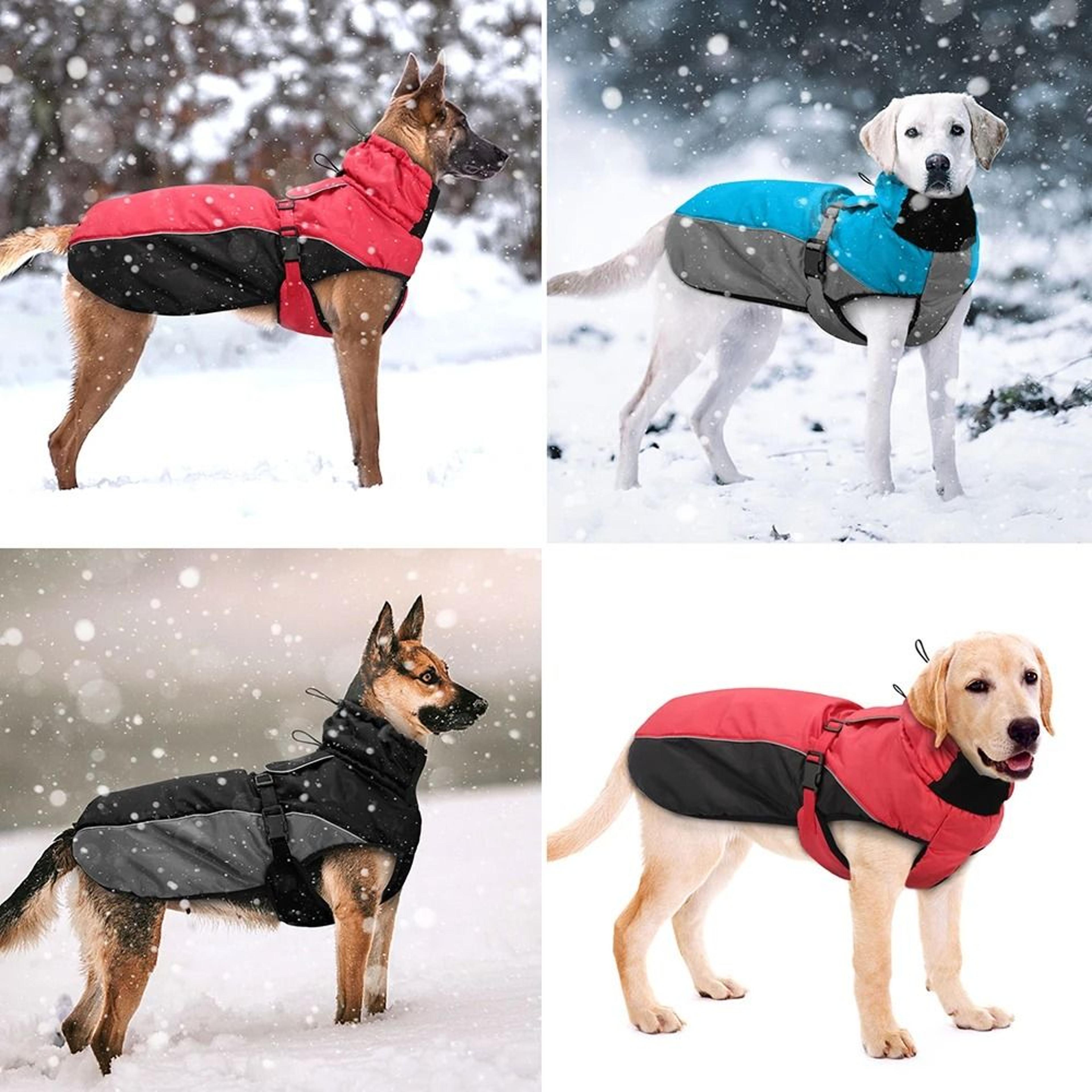 Waterproof Reflective Winter Dog Coat For Large Dogs XL6XL 5