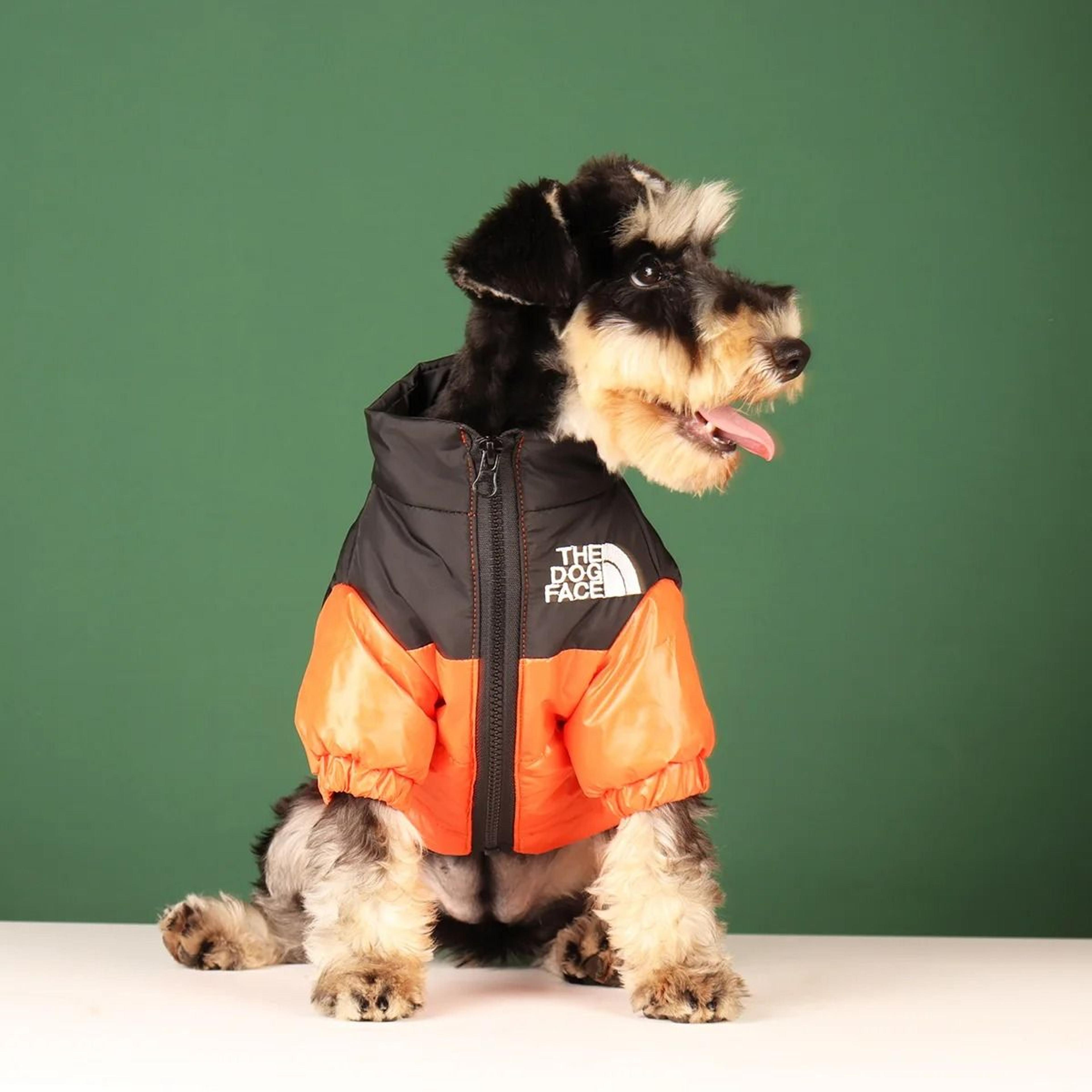 Winter Dog Jacket Windproof Reflective Coat For Small And Medium Dogs 6