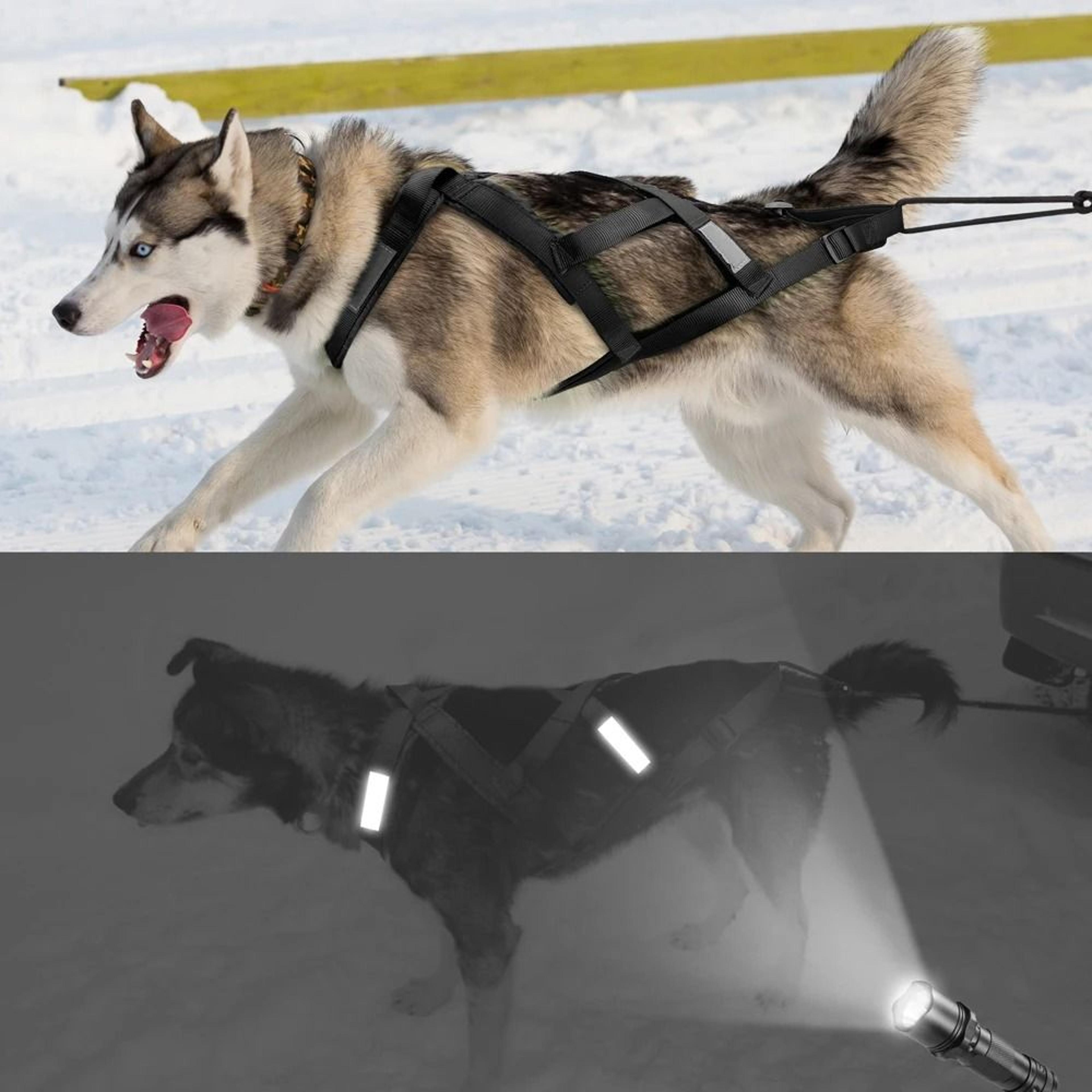 Waterproof Reflective Dog Sledding Harness Weight Pulling Vest 3