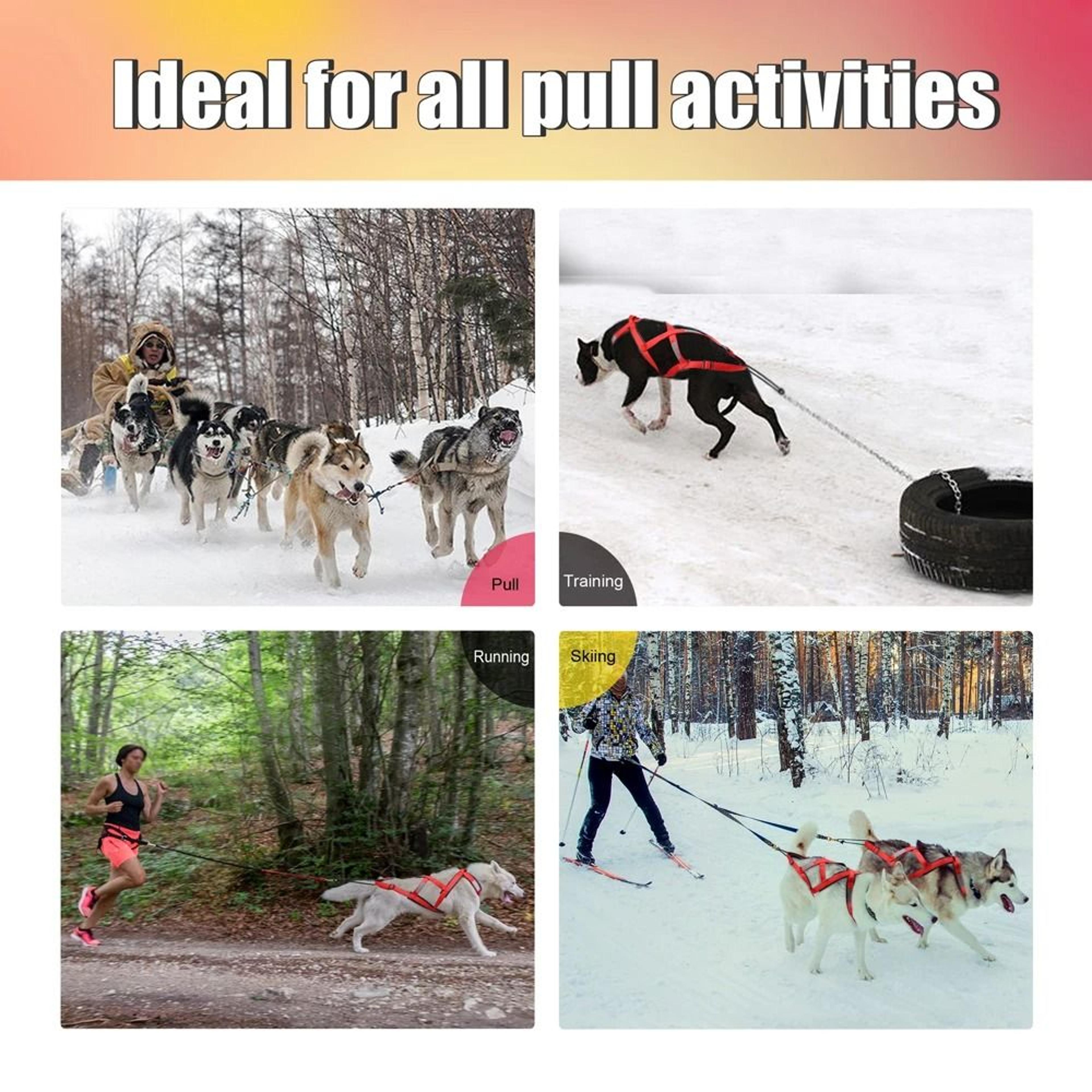 Waterproof Reflective Dog Sledding Harness Weight Pulling Vest 4