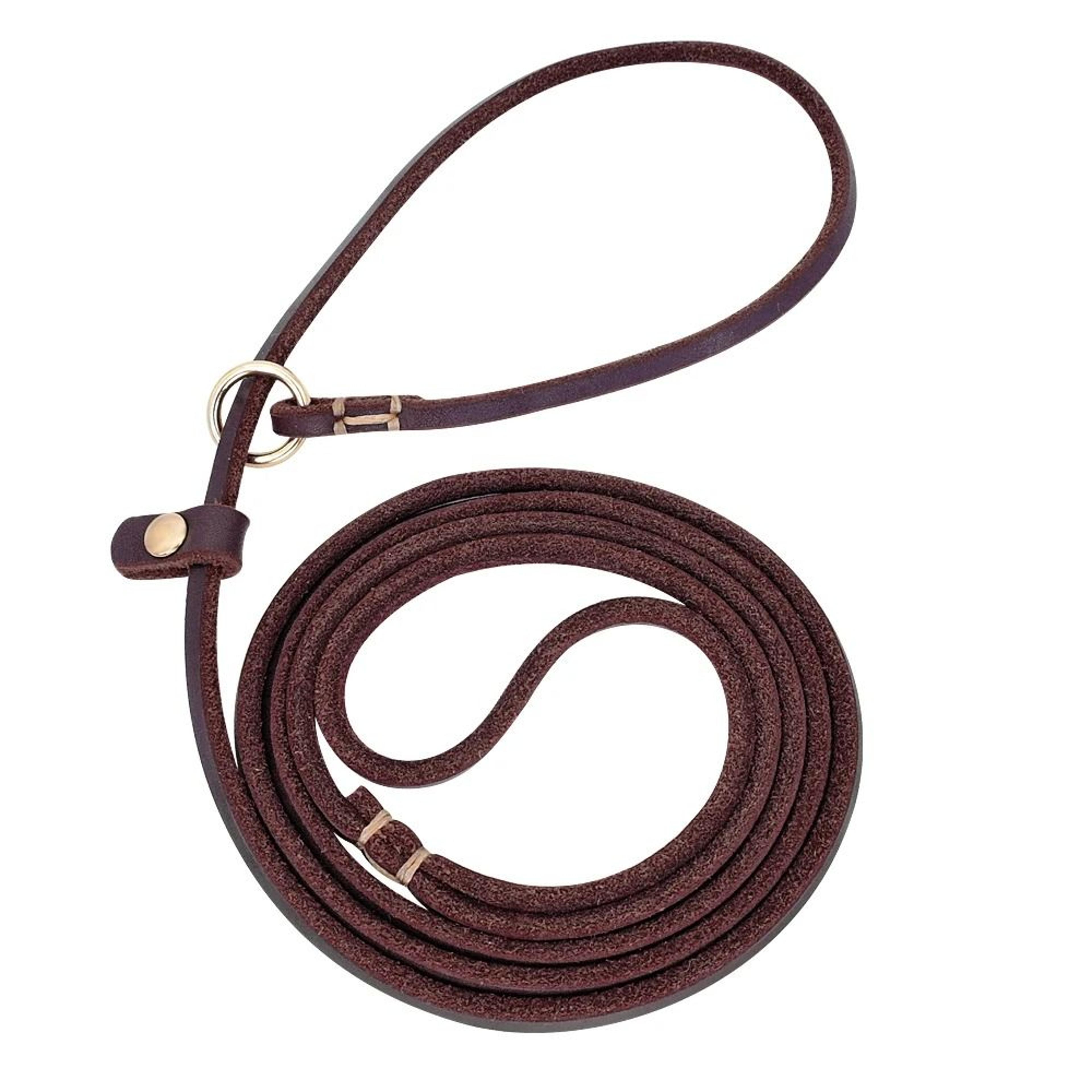 Leather Dog Leash With Slip Chain Collar For Small Dogs 4ft And 5ft Lengths 1