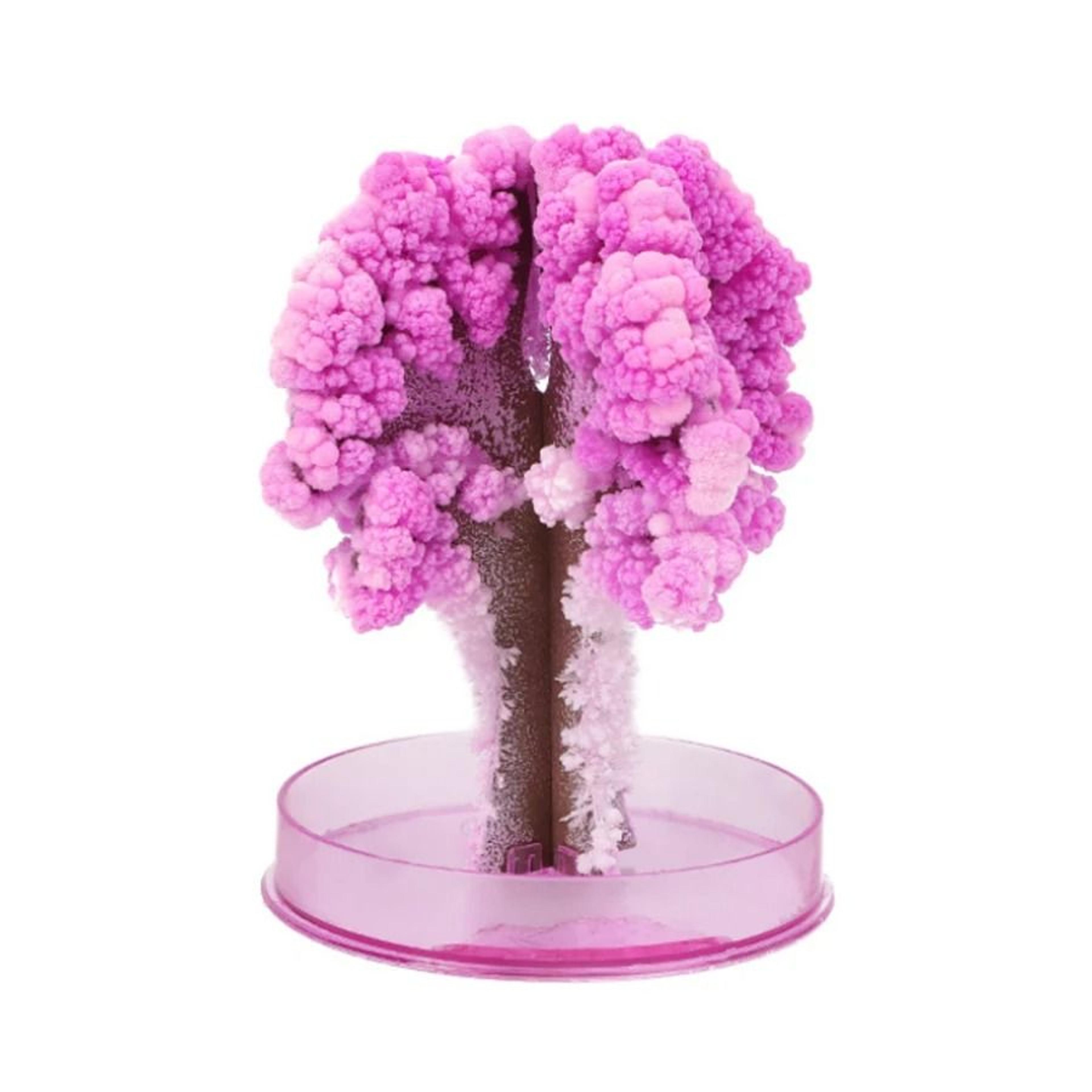 Magic Crystal Growing Christmas Tree Science Experiment Toy For Kids 9