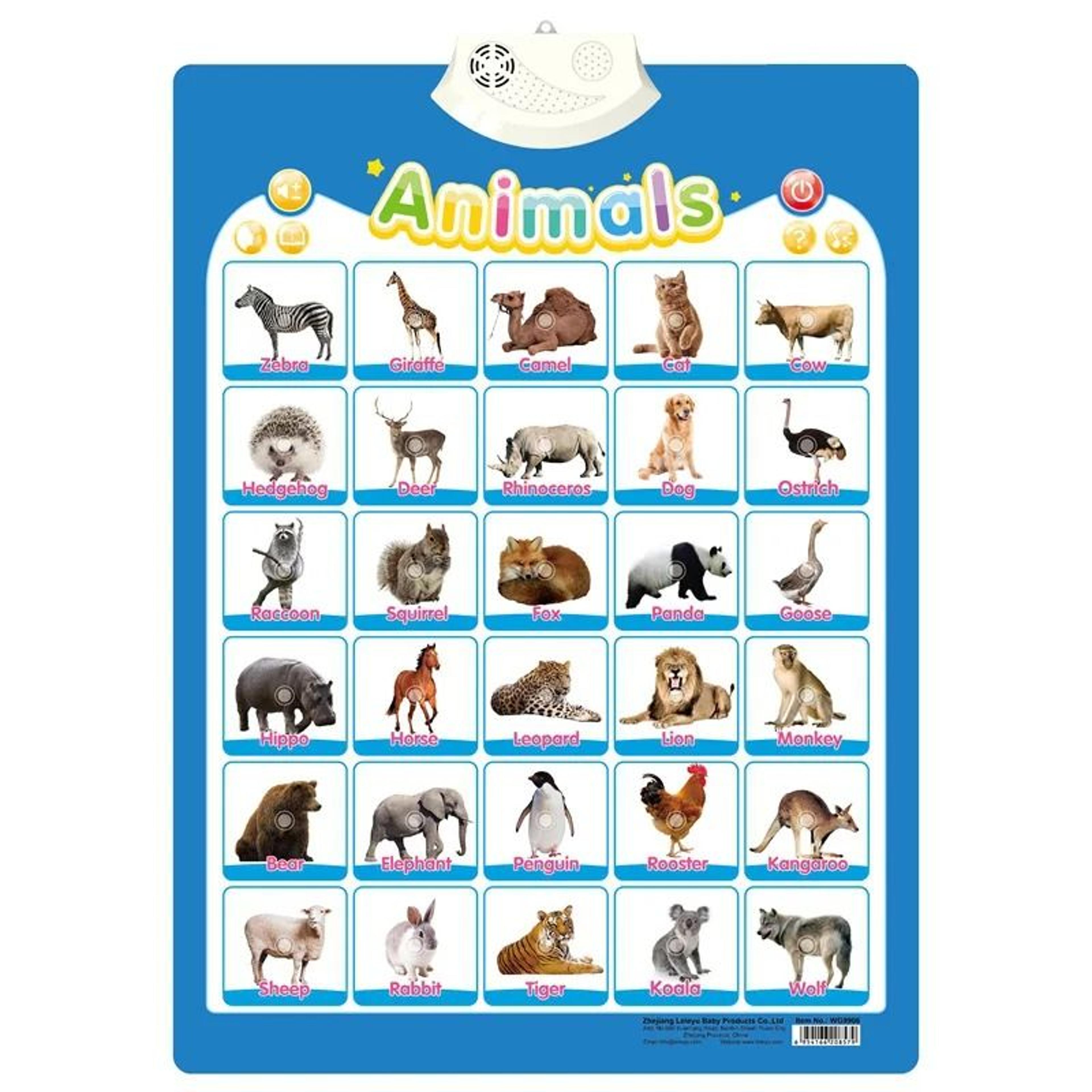 Electronic Alphabet Wall Chart Interactive ABC Learning Poster For Toddlers 6