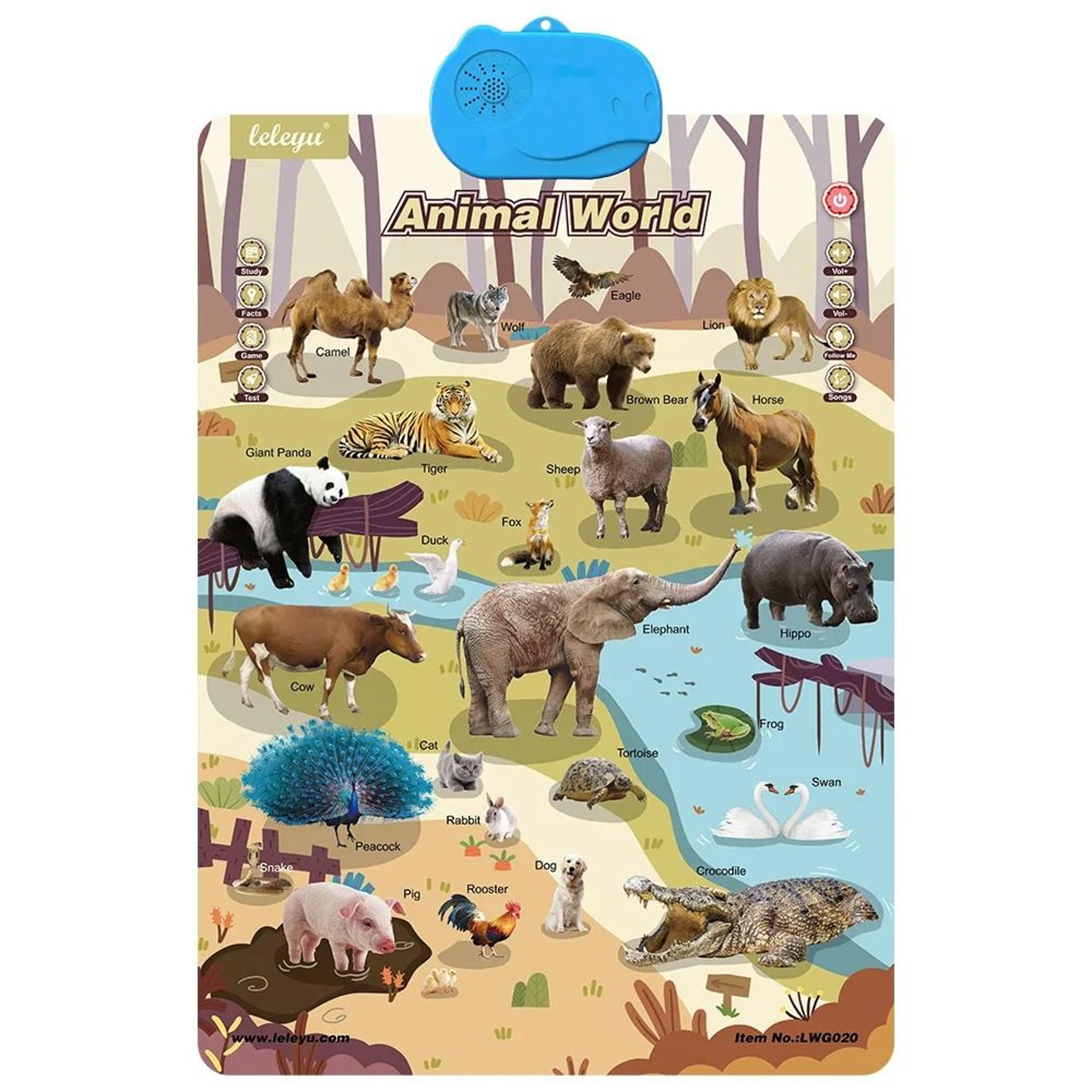 Interactive Alphabet Wall Chart Talking ABC Educational Learning Poster For Kids 12
