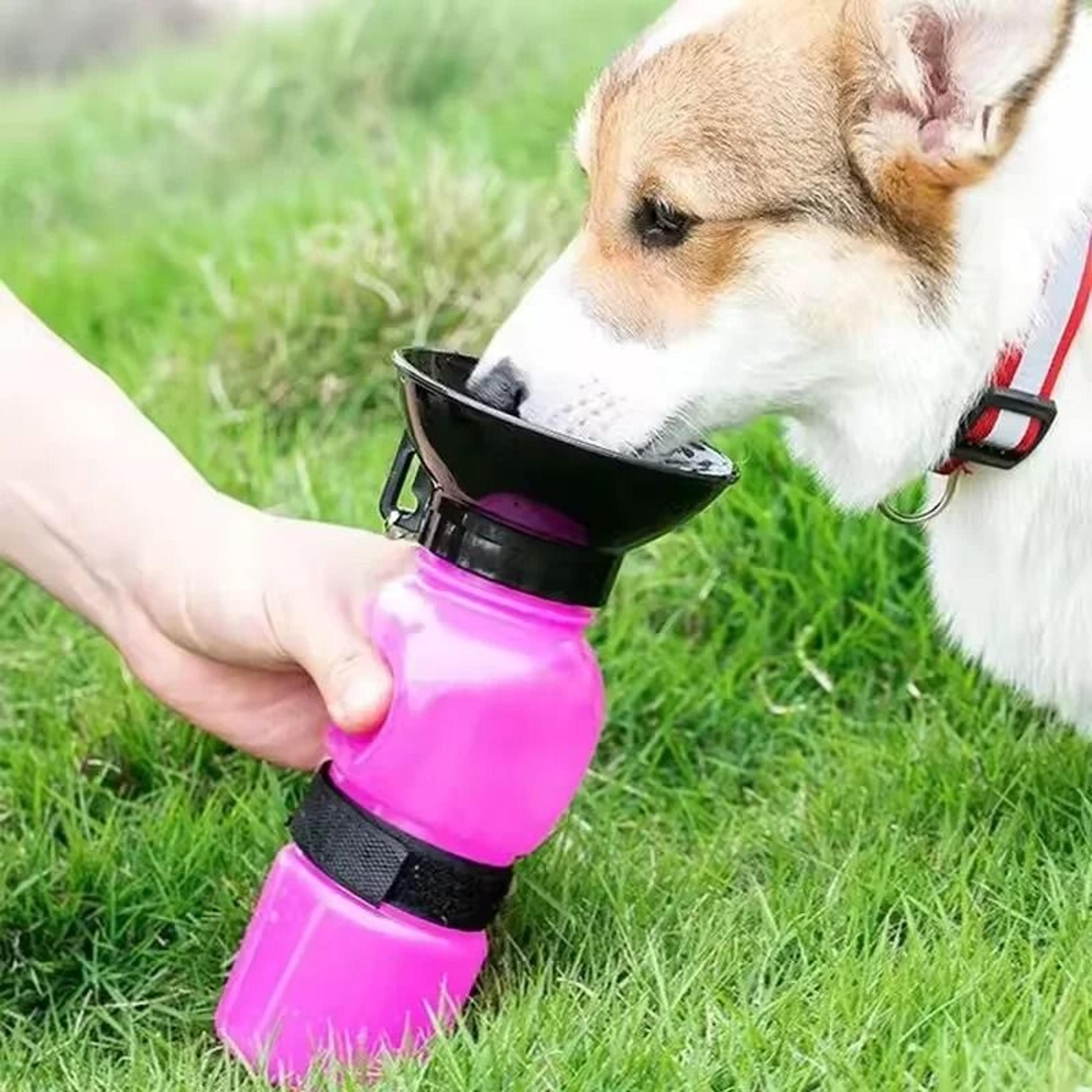 500ml Portable Dog Water Bottle Travel Drinking Cup For Dogs And Cats 0