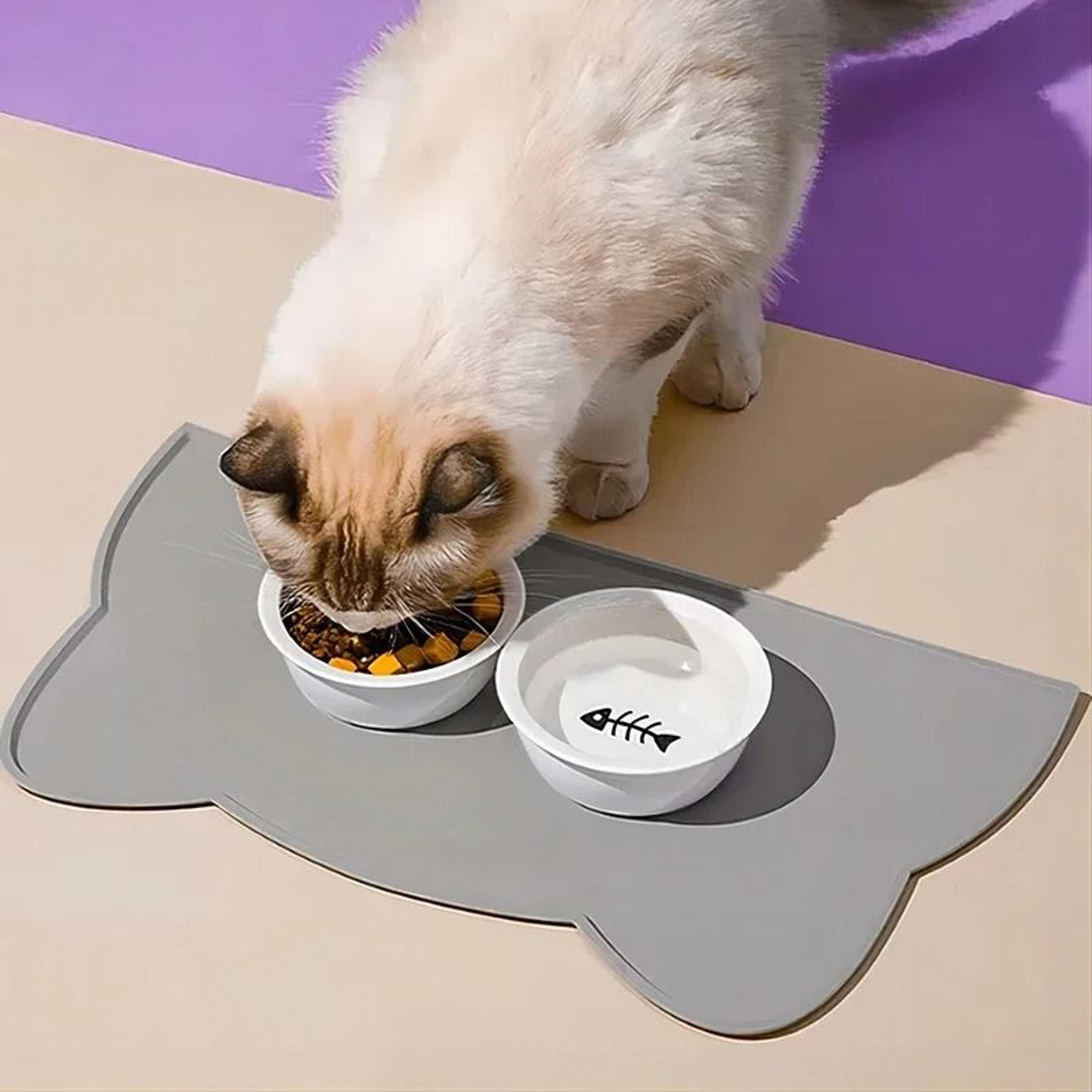 Silicone Pet Feeding Mat Waterproof Non Slip Food Bowl Mat 8