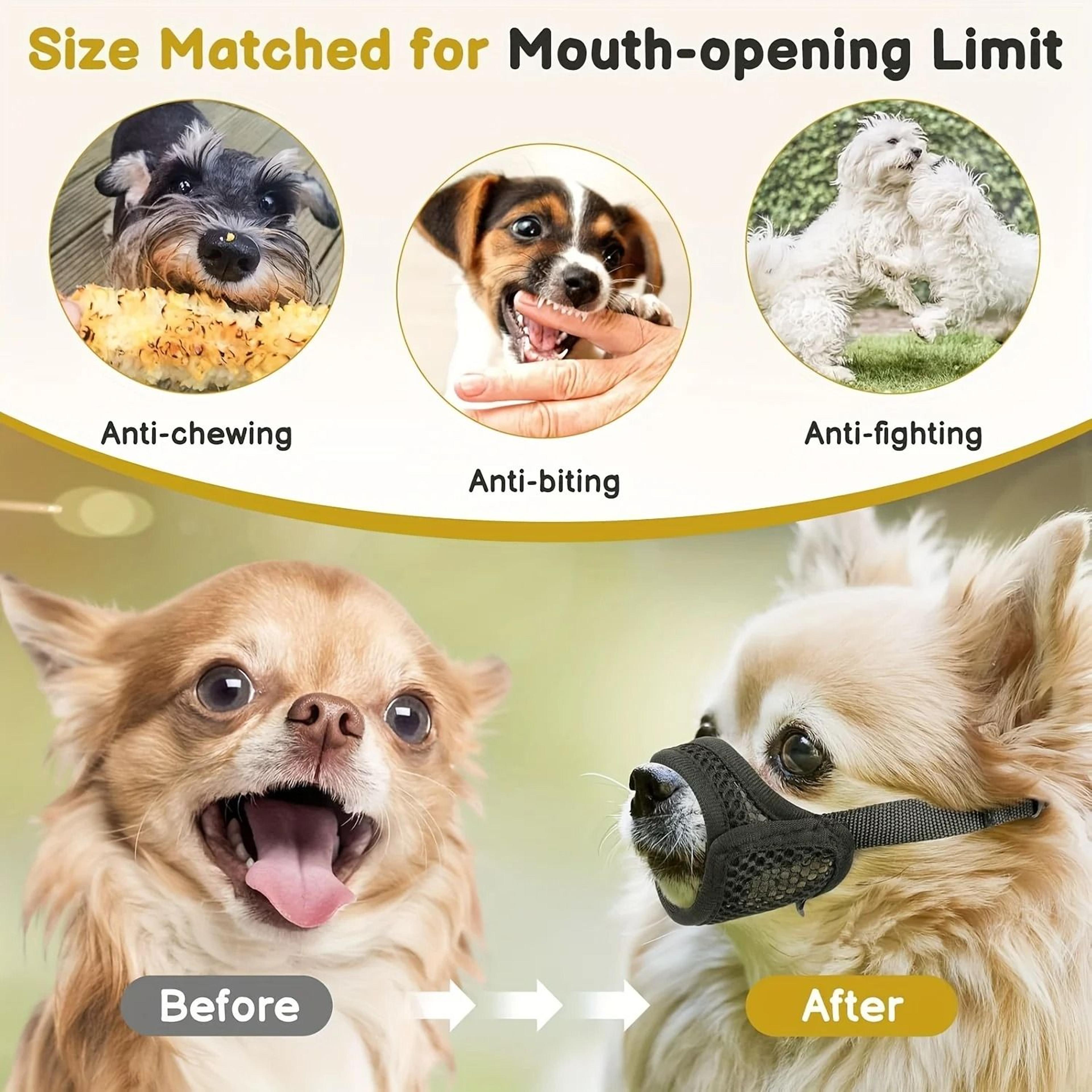 Breathable Mesh Dog Muzzle For Short Snout Small Dogs Anti Biting Design 2