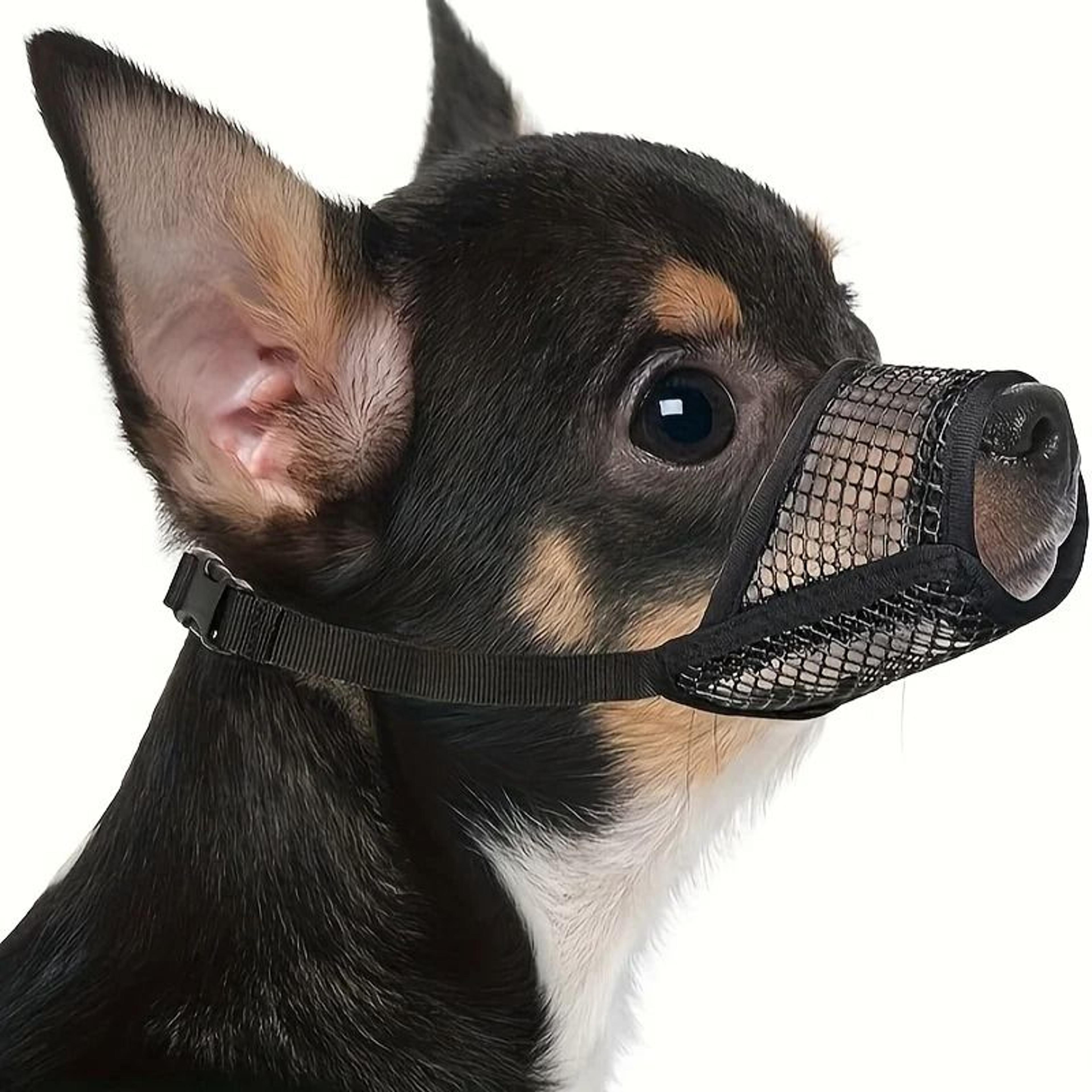Breathable Mesh Dog Muzzle For Short Snout Small Dogs Anti Biting Design 5