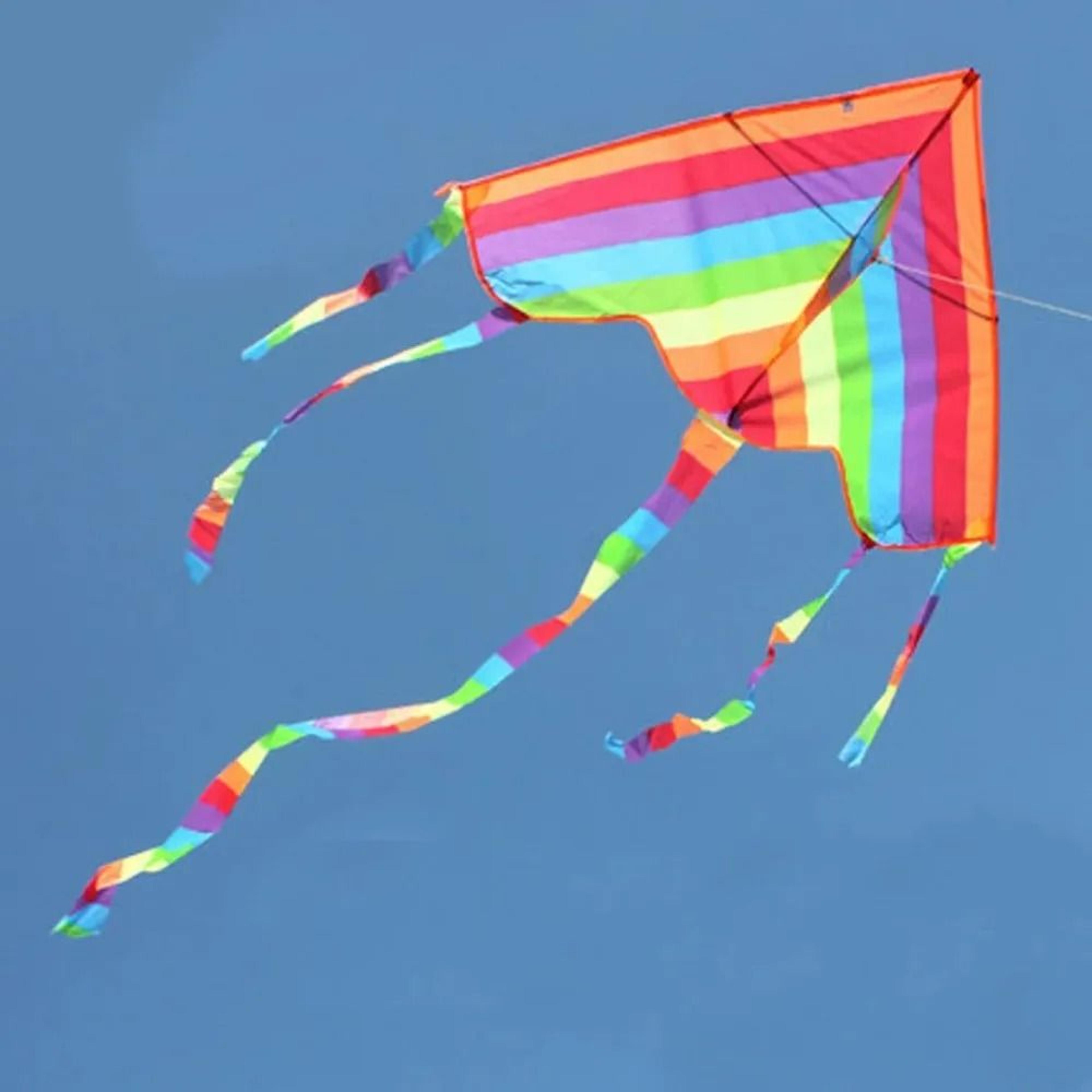 Easy Flying Rainbow Kite With Long Tail Outdoor Kids Toy 1