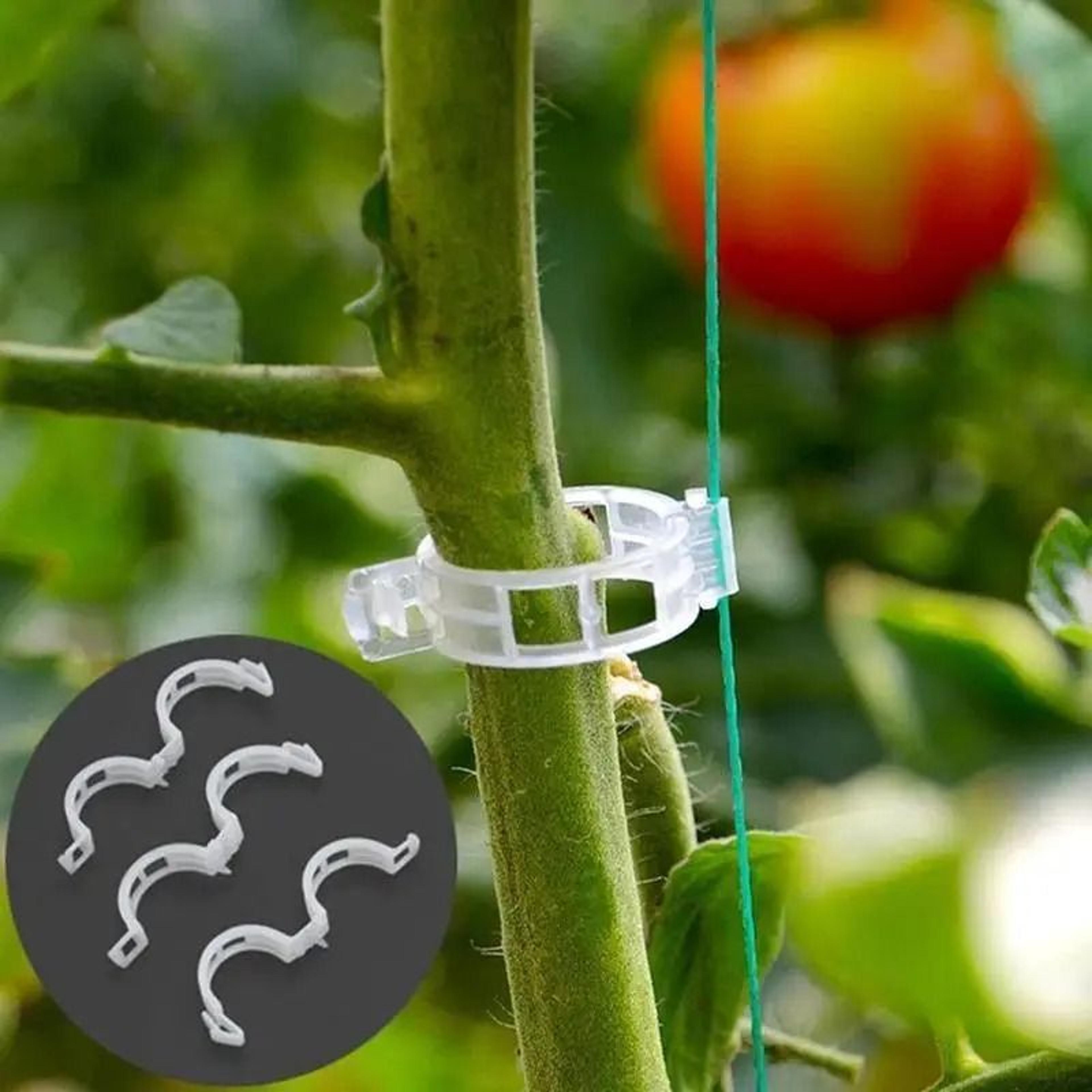 Reusable Plant Support Clips Garden Vine Fixing Clips For Trellis And Stakes 7