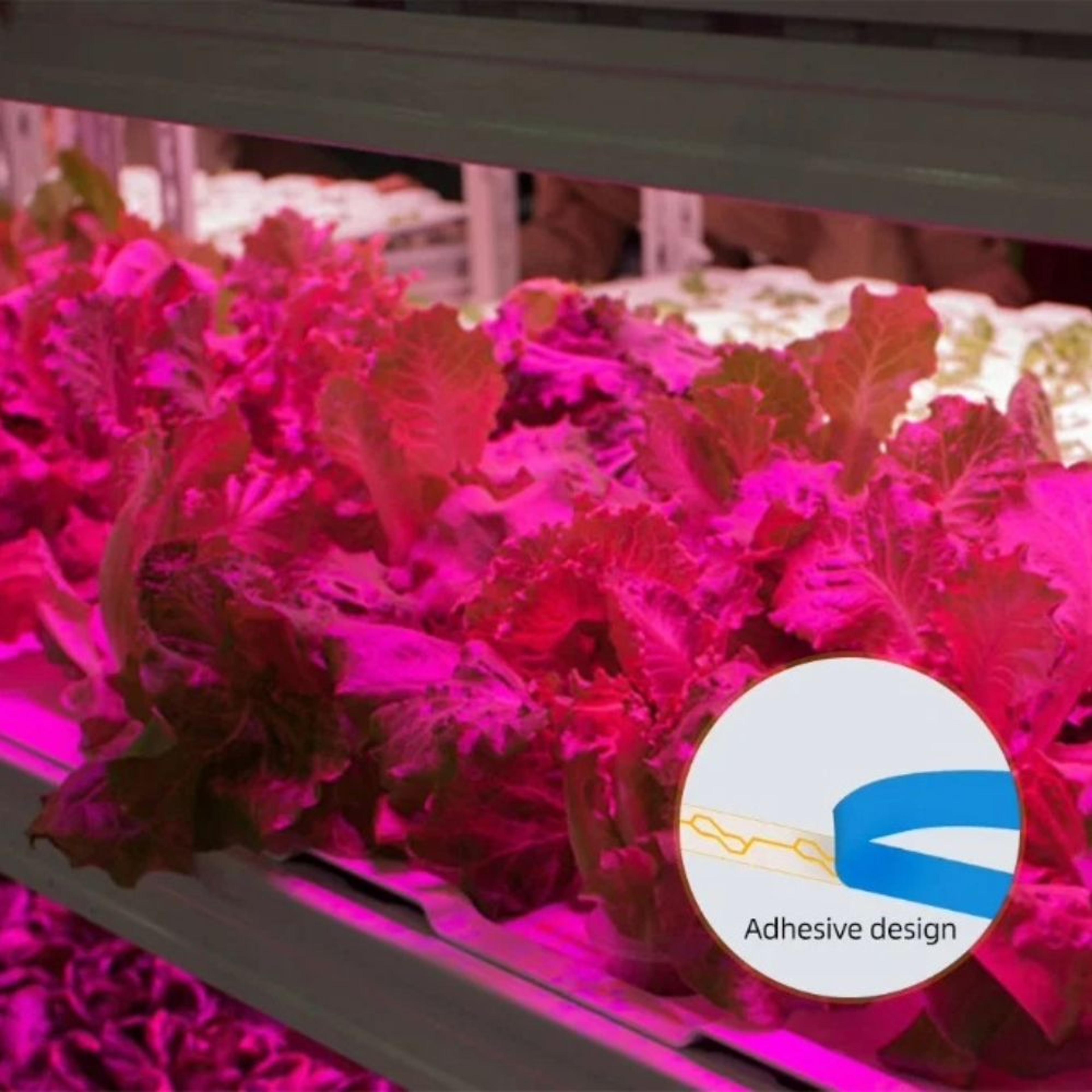 Full Spectrum USB Grow Light Strip LED Plant Light For Indoor Plants And Hydroponics 4