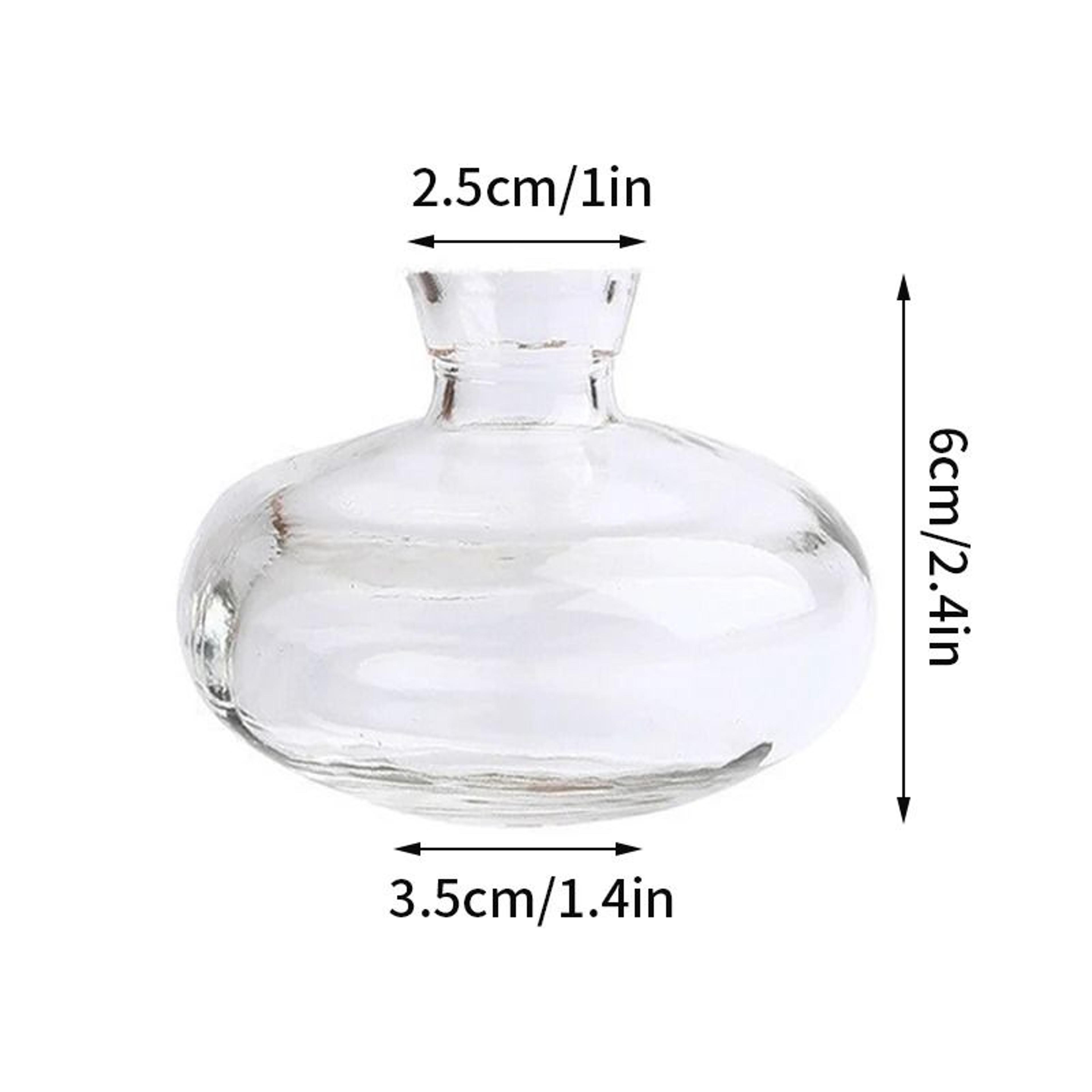 Vintage Mini Glass Vase Transparent Flower Vase For Home Decor 24