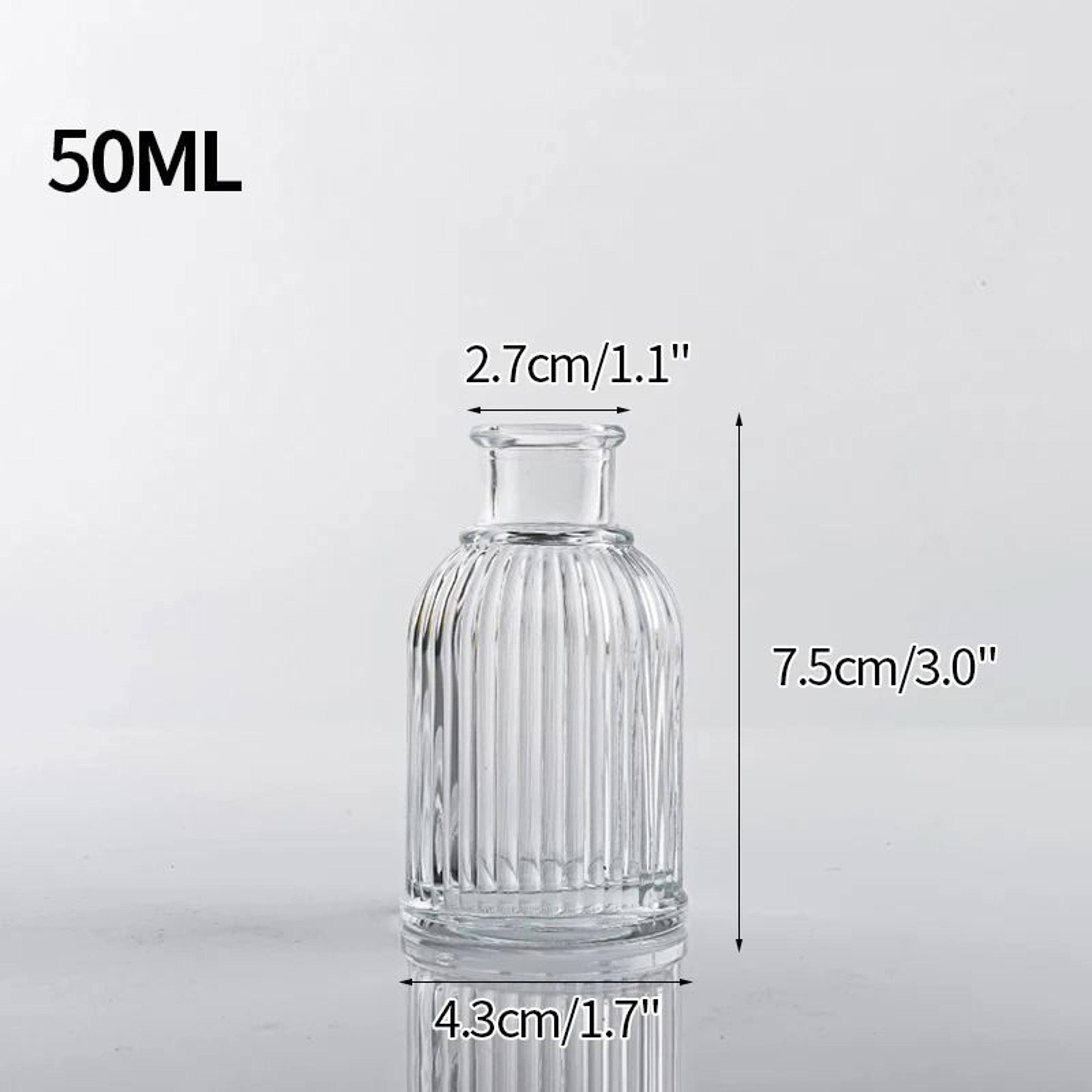 Mini Transparent Glass Flower Vase Nordic Hydroponic Plant Decor 9