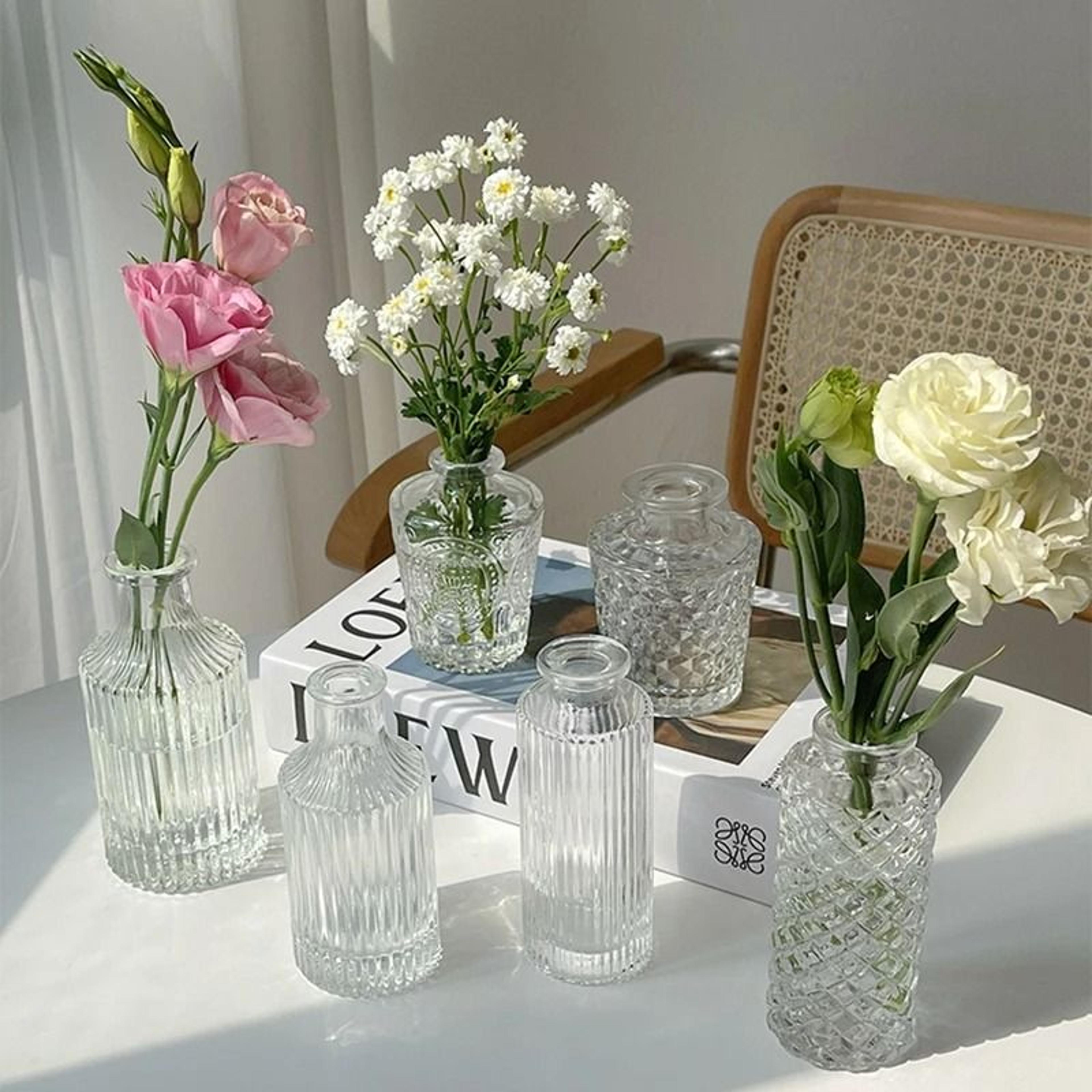 Mini Transparent Glass Flower Vase Nordic Hydroponic Plant Decor 12