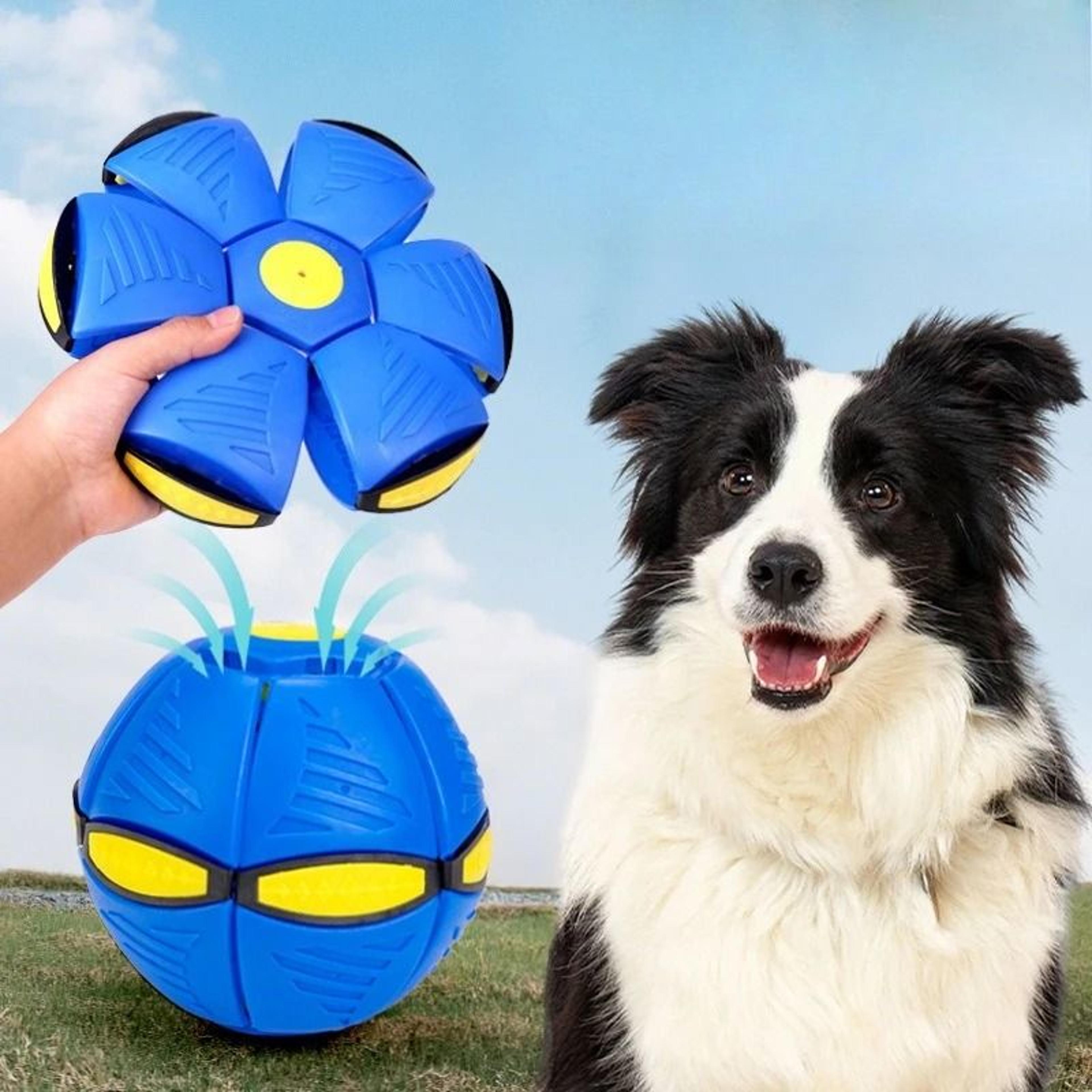 Flying Saucer Dog Bouncing Ball Durable Interactive Outdoor Pet Toy 9