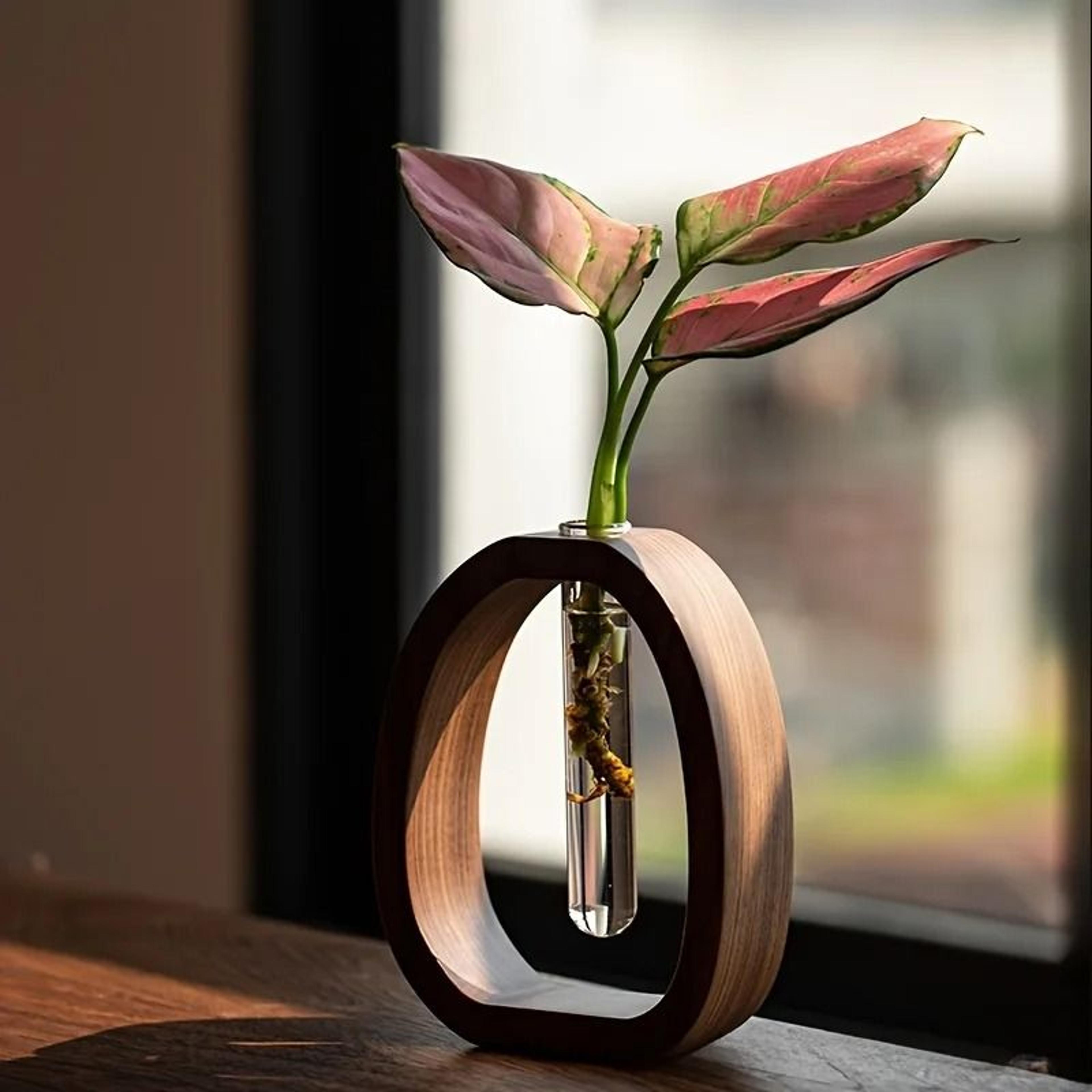 Solid Wood Flower Vase With Mini Glass Hydroponic Insert 8