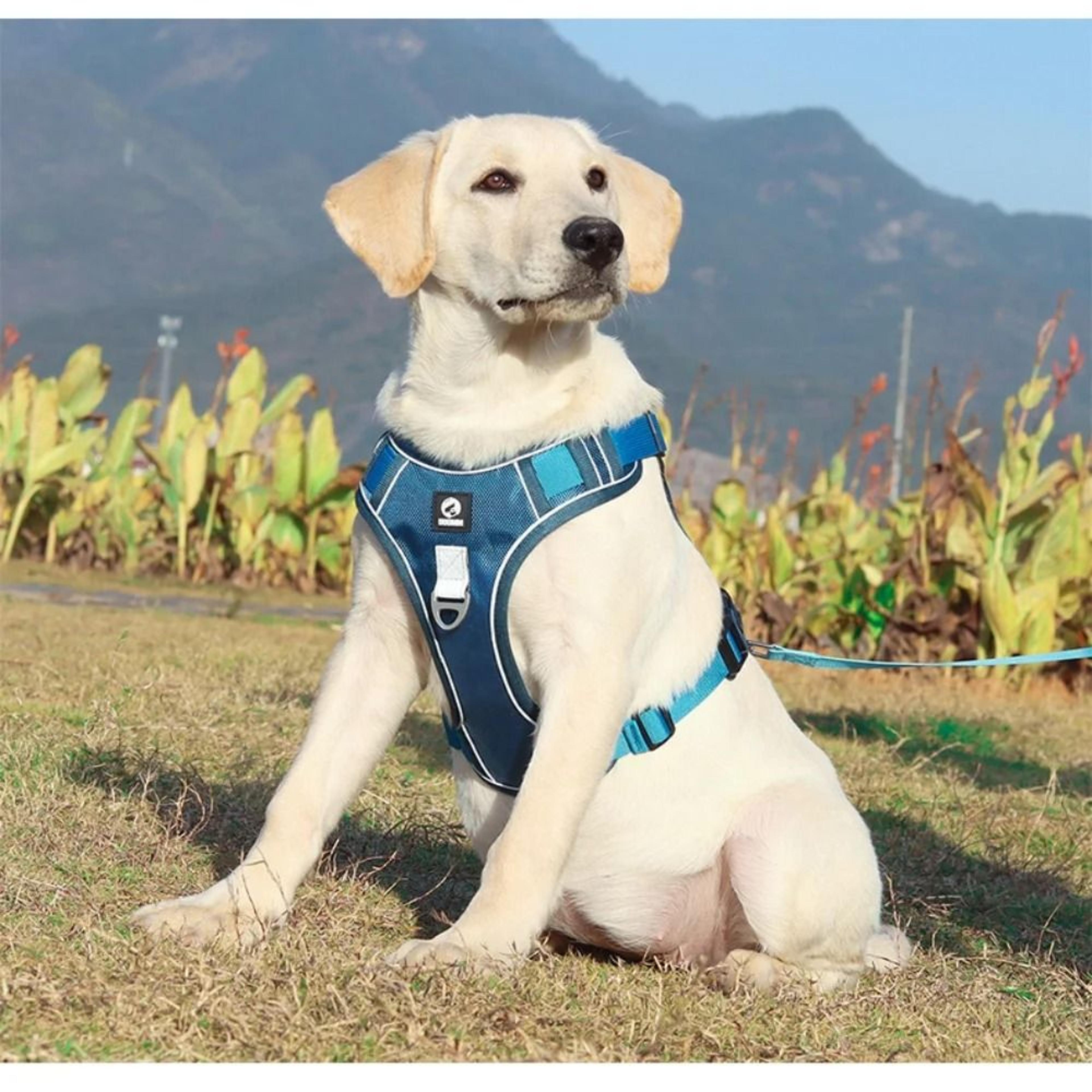 Reflective Dog Harness Adjustable No Pull Dog Harness Training Vest For Medium And Large Dogs 0