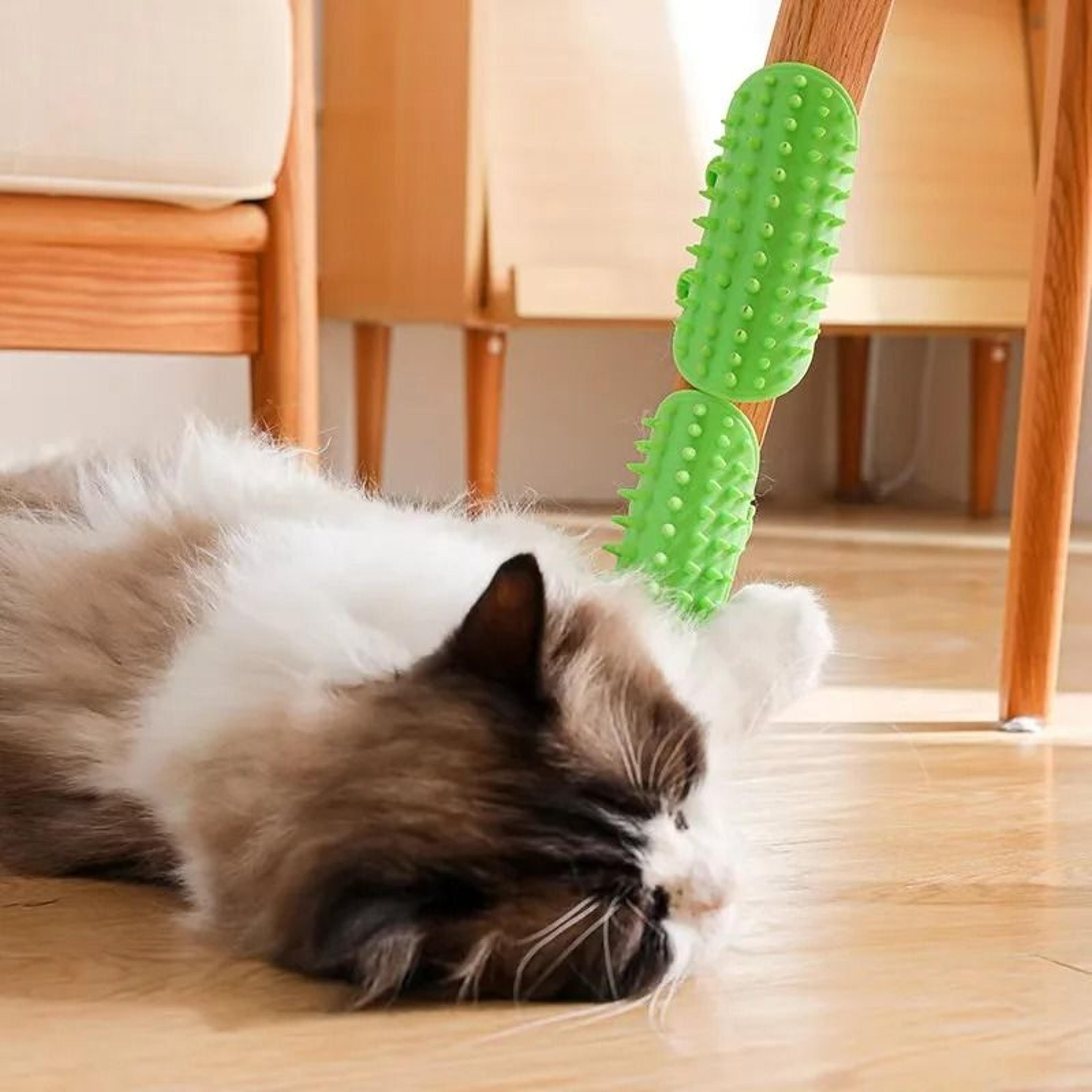 Cat Self Grooming Brush Wall Corner Scratcher Hair Removal Comb For Cats 4