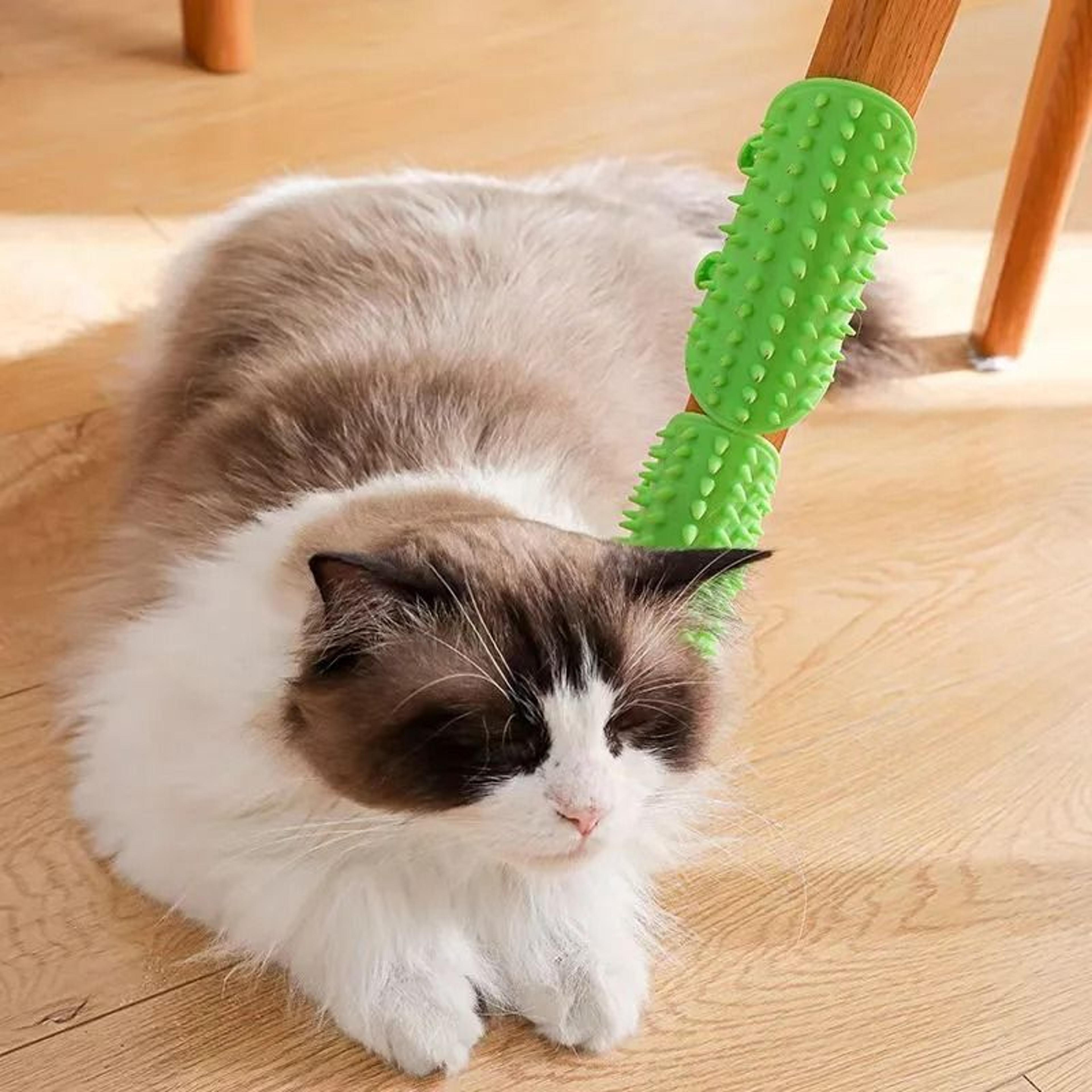 Cat Self Grooming Brush Wall Corner Scratcher Hair Removal Comb For Cats 5