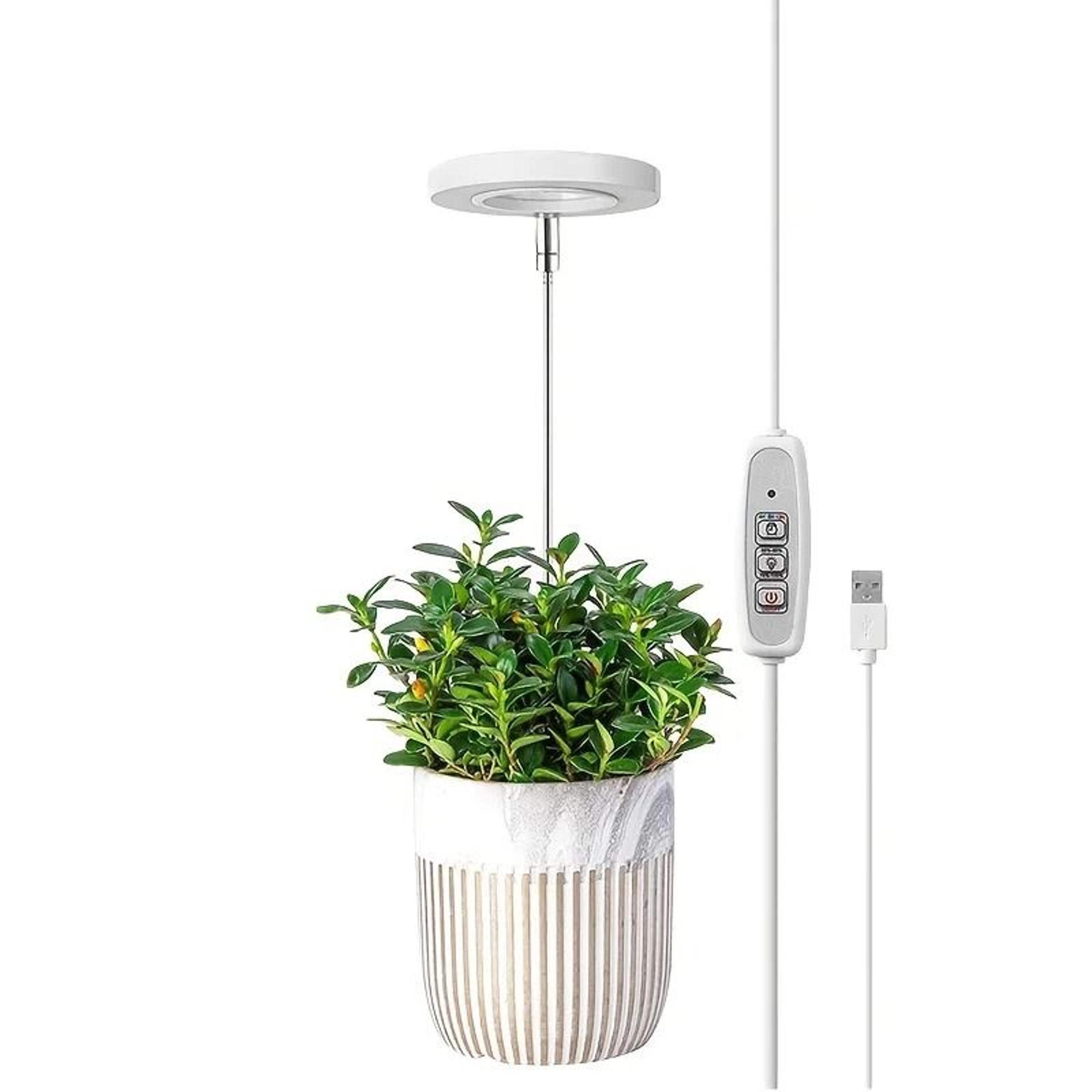 LED Grow Light Full Spectrum Adjustable Indoor Plant Ring Light With Timer 2