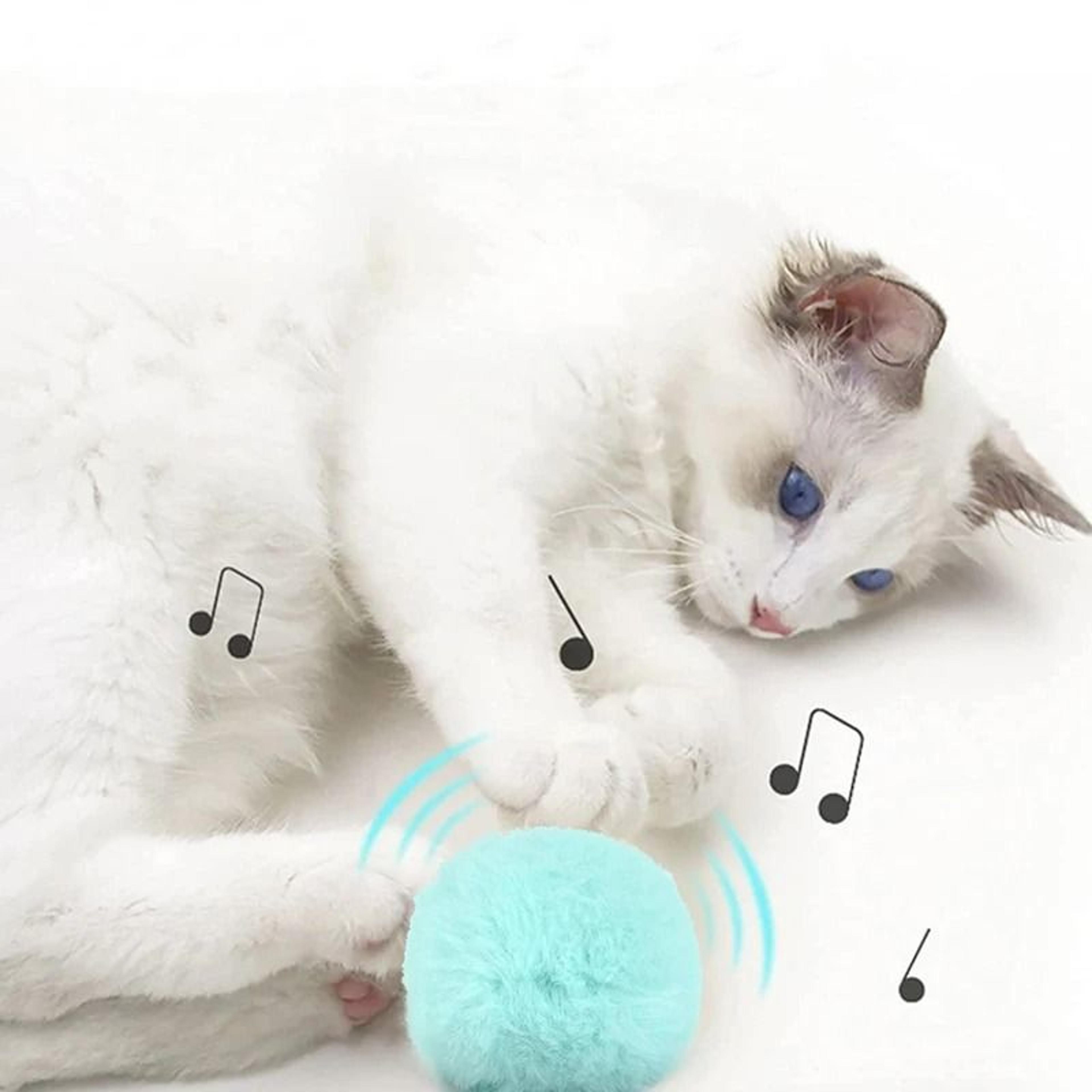 Interactive Electric Cat Ball Toy With Catnip For Active Play And Training 7