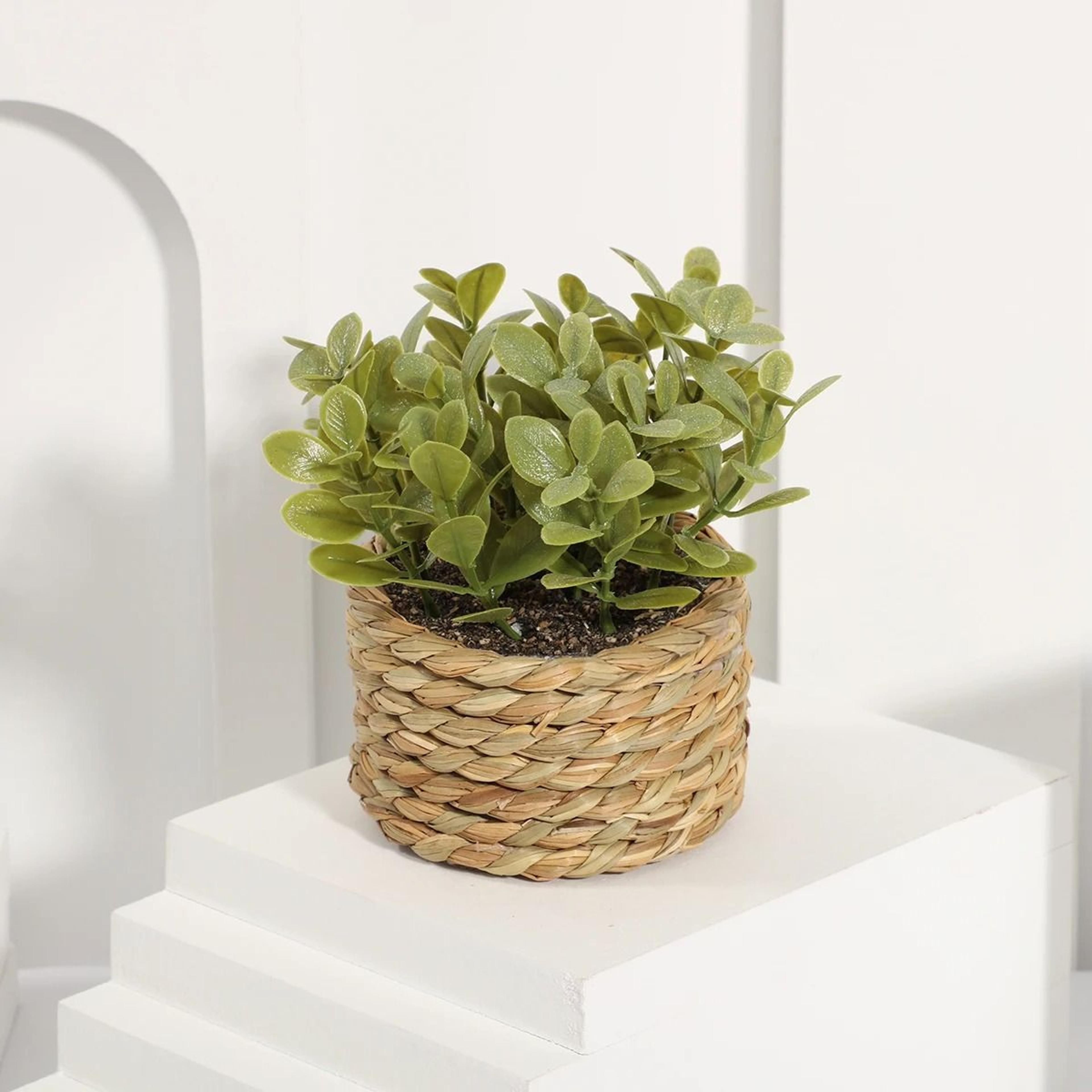 Artificial Eucalyptus Potted Plant Mini Indoor Greenery Home Decor 3