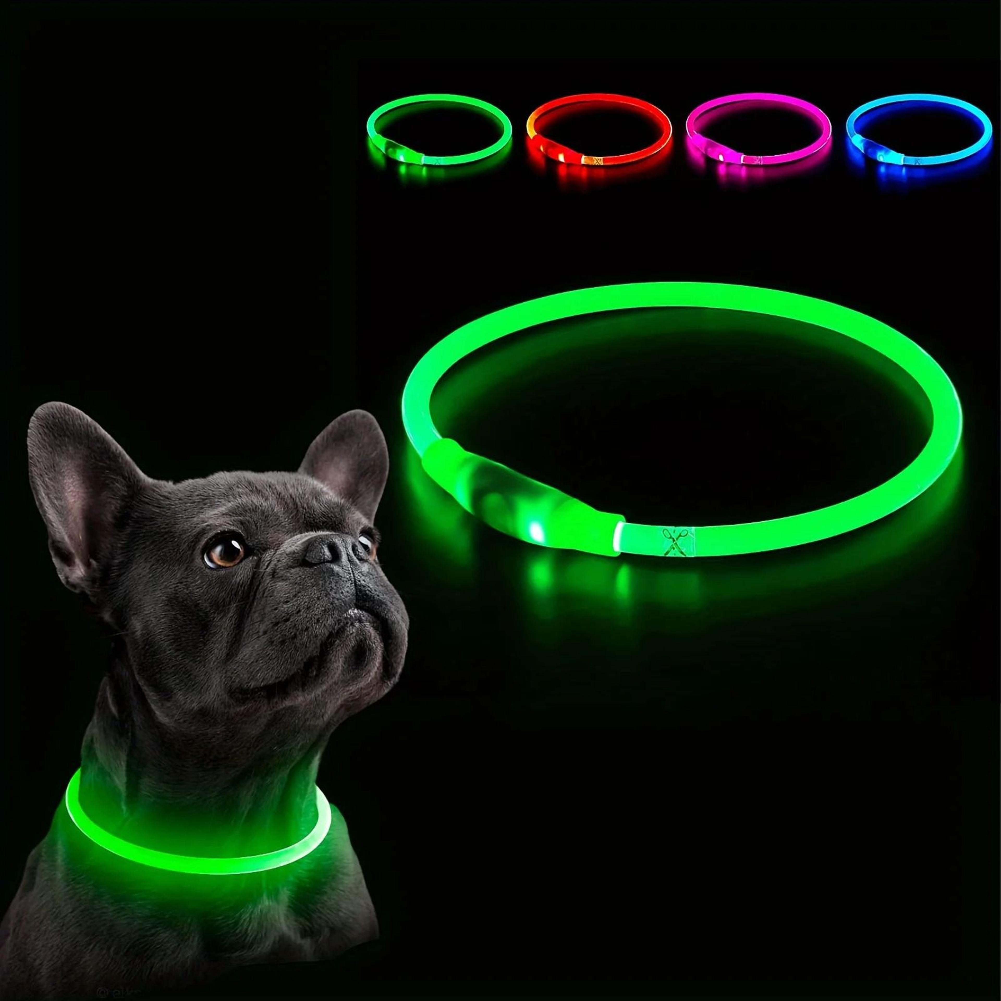LED Dog Collar Rechargeable Glow Night Safety Luminous Pet Collar For Dogs 7