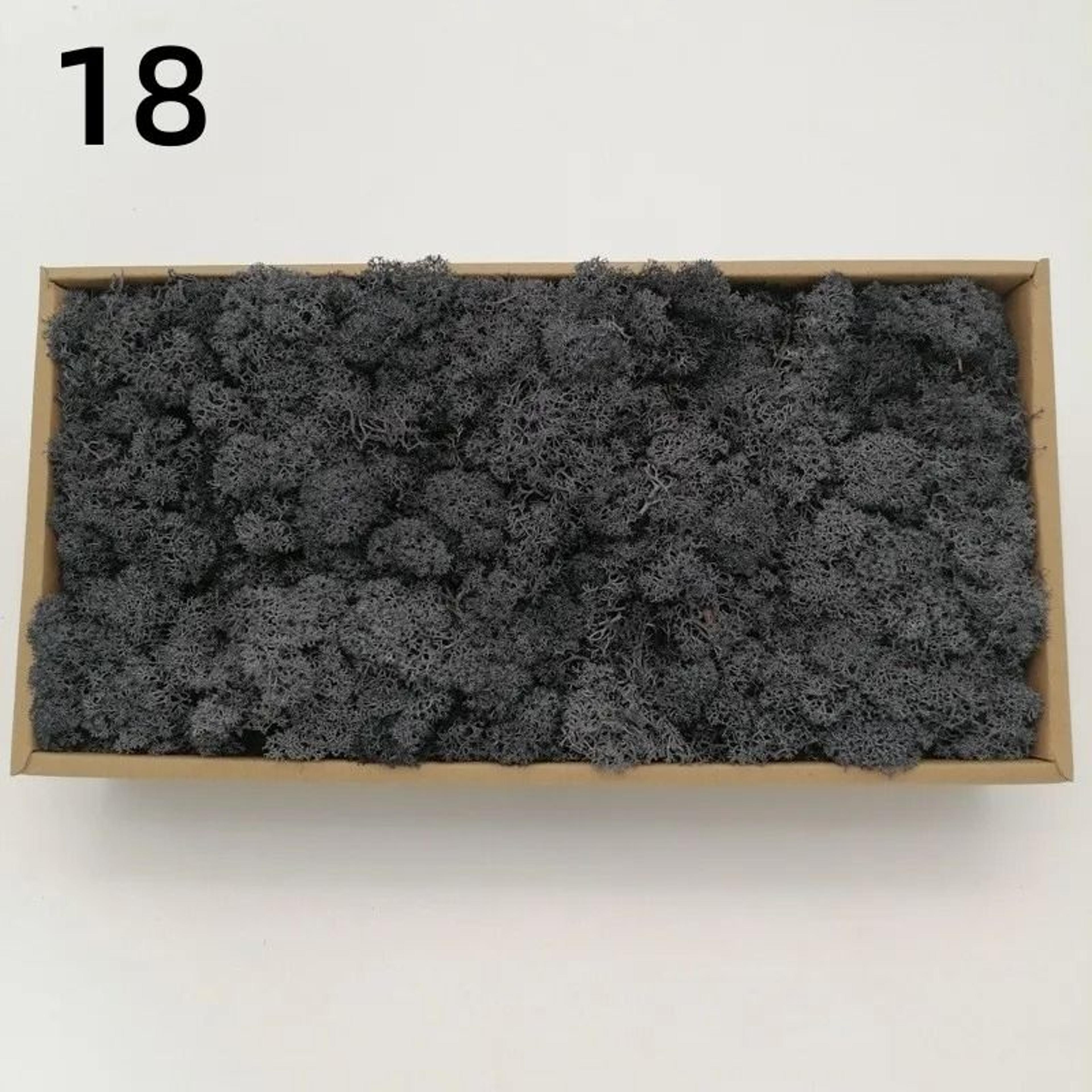 Artificial Moss Decor For Crafts Mini Landscape Green Moss DIY Terrarium Supplies 18