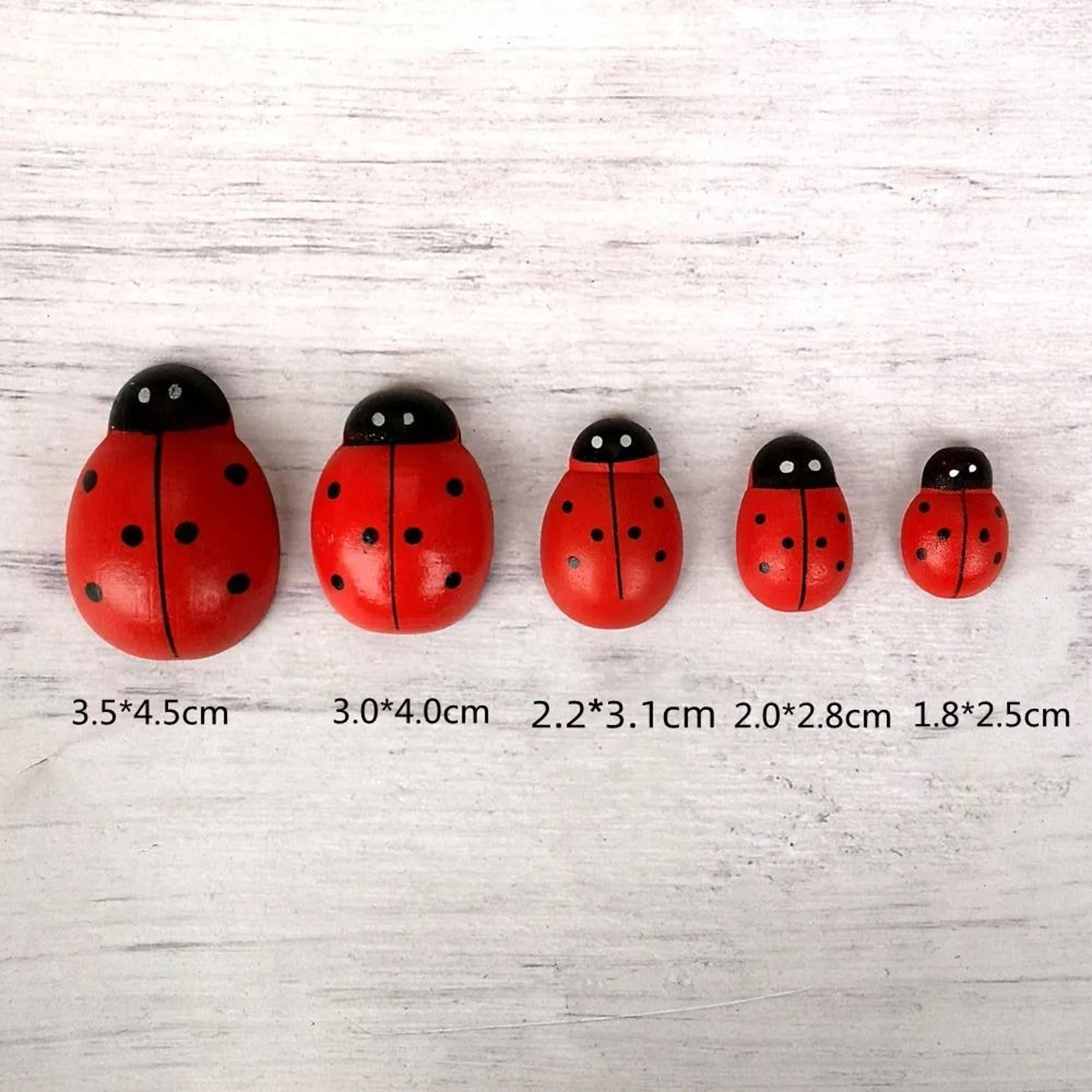 Wooden Ladybug Fairy Garden Decoration Miniature DIY Craft Ornament 7