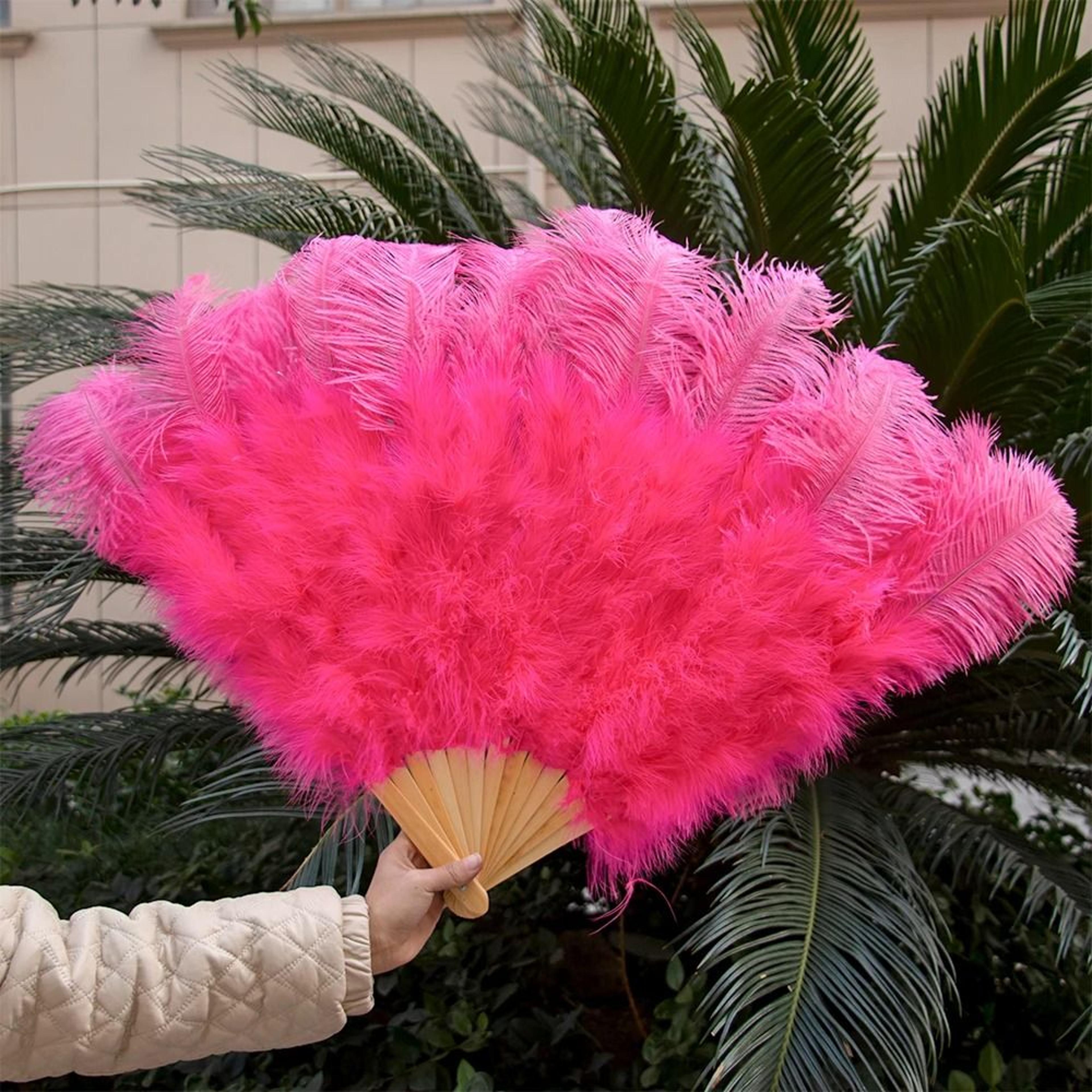 Large Ostrich Feather Fan Folding Dance Performance Stage Prop 3