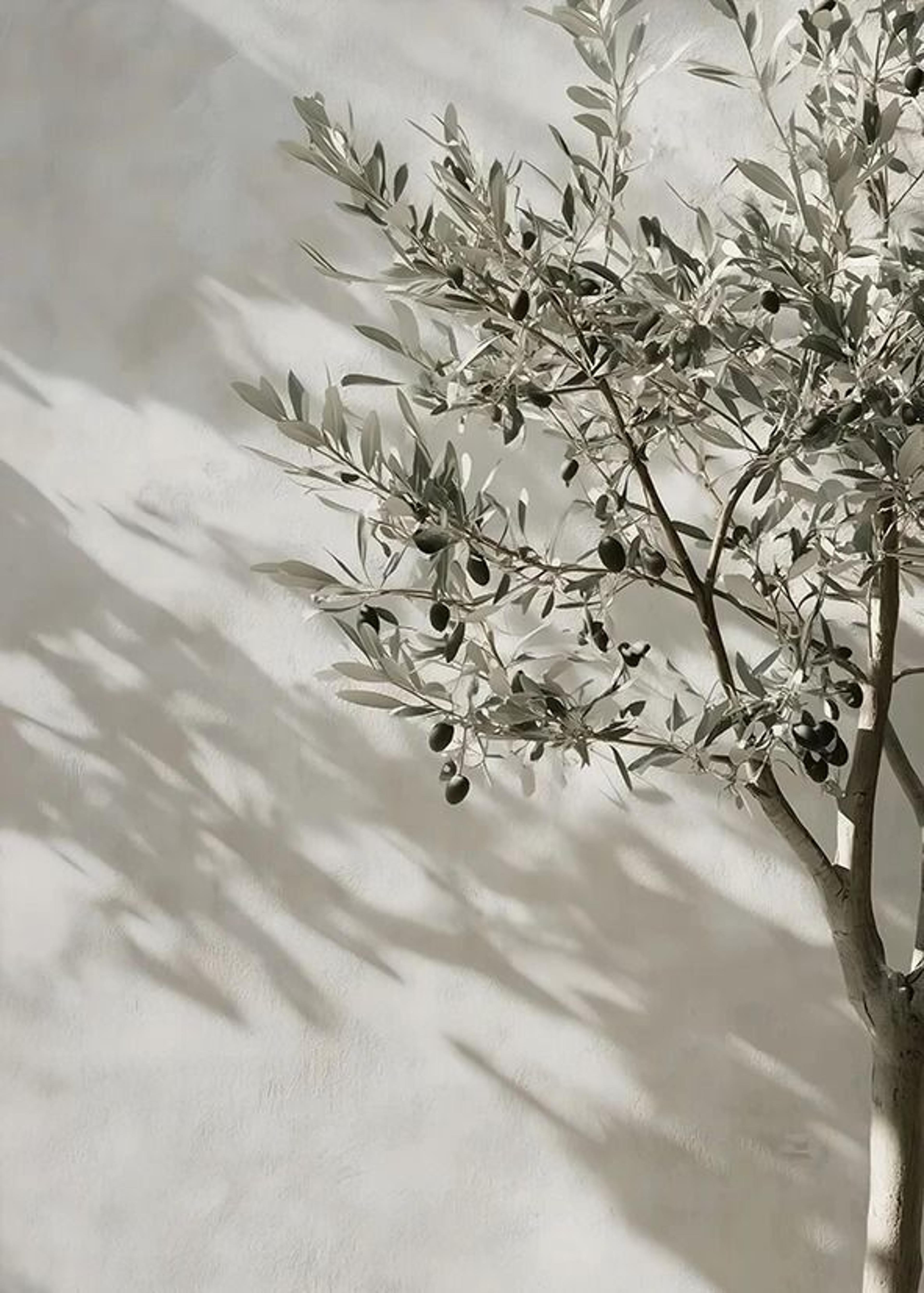 Vintage Olive Tree And Lemon Canvas Poster Botanical Wall Art Print 11