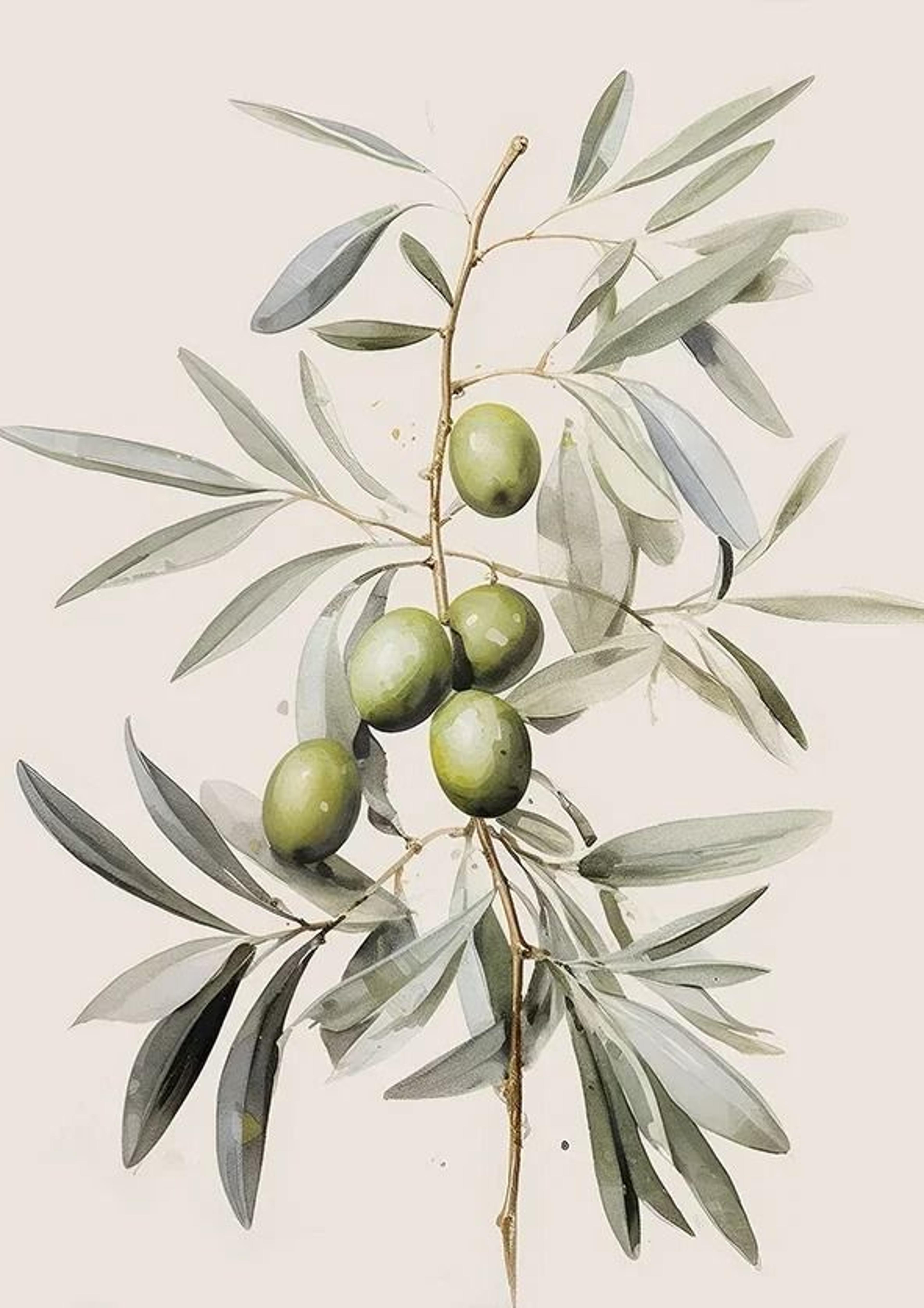 Vintage Olive Tree And Lemon Canvas Poster Botanical Wall Art Print 5