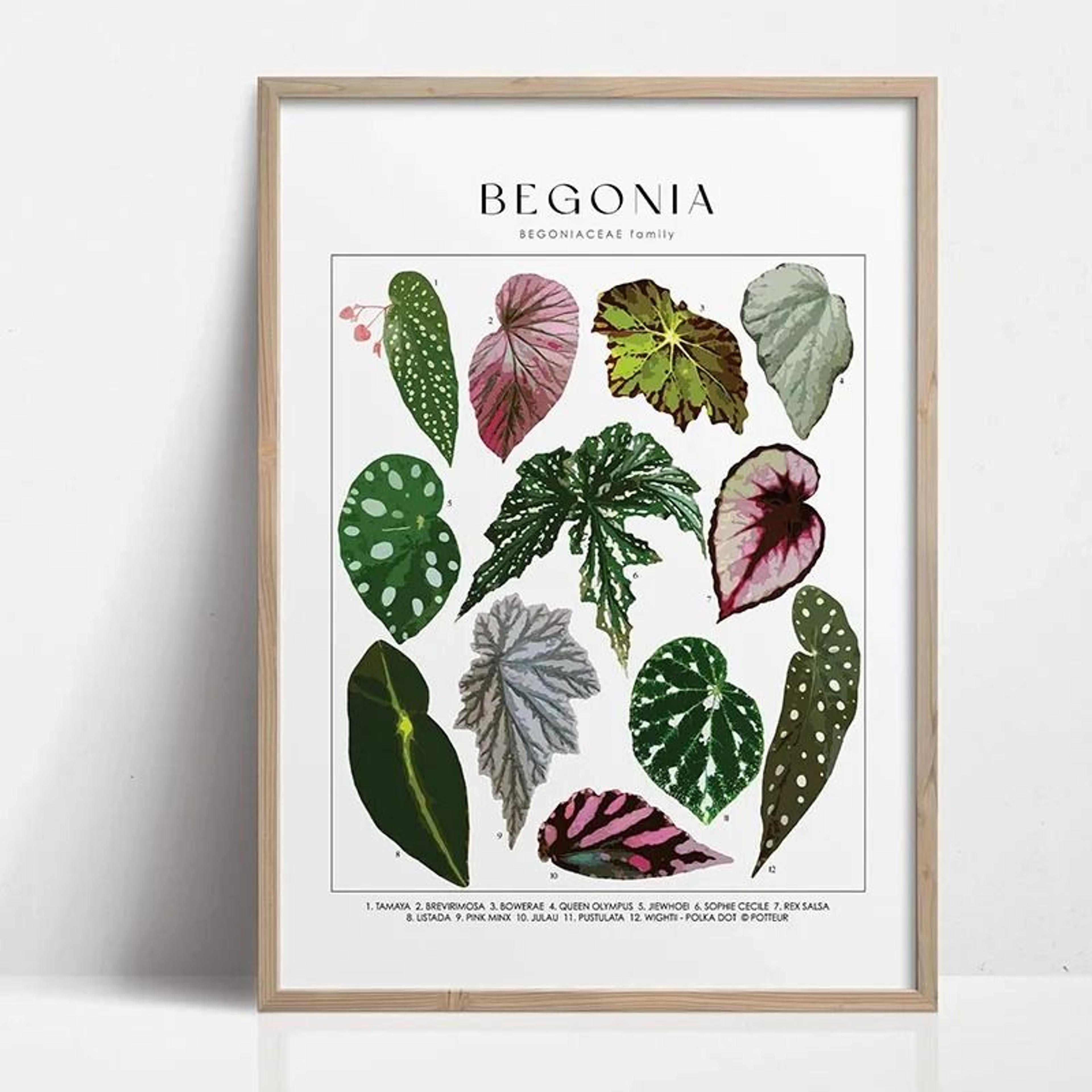 Botanical Wall Art Plant Canvas Print Green Wall Decor Nature Leaf Poster 24