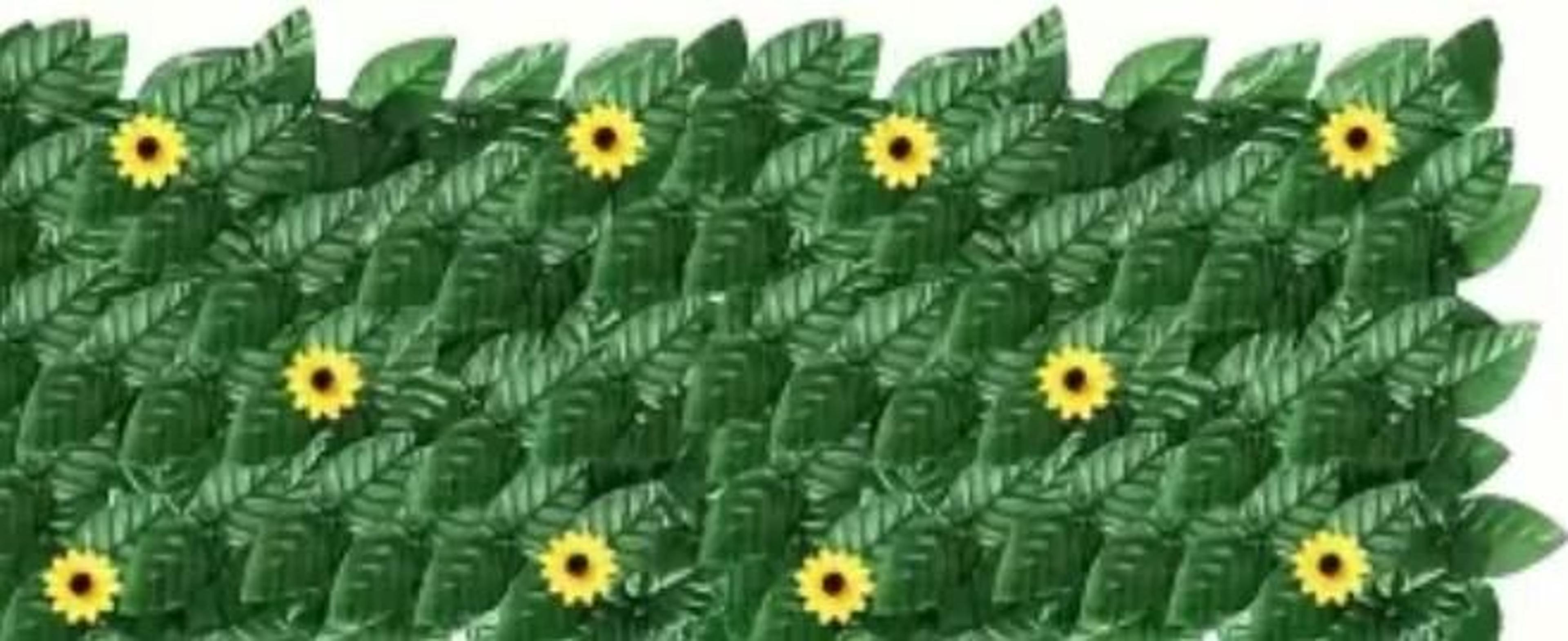 Artificial Ivy Privacy Fence With Sunflowers Outdoor Wall Decor Panel 2